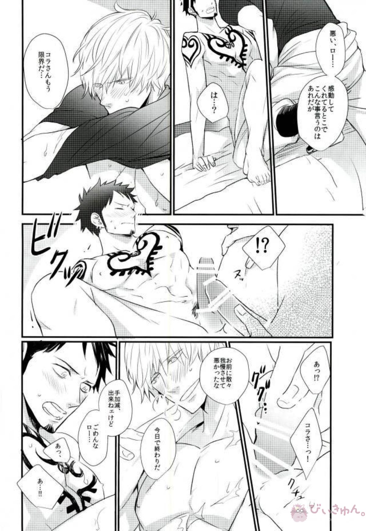 ネコロトリップ【ONE PIECE/コラロ】 page 19