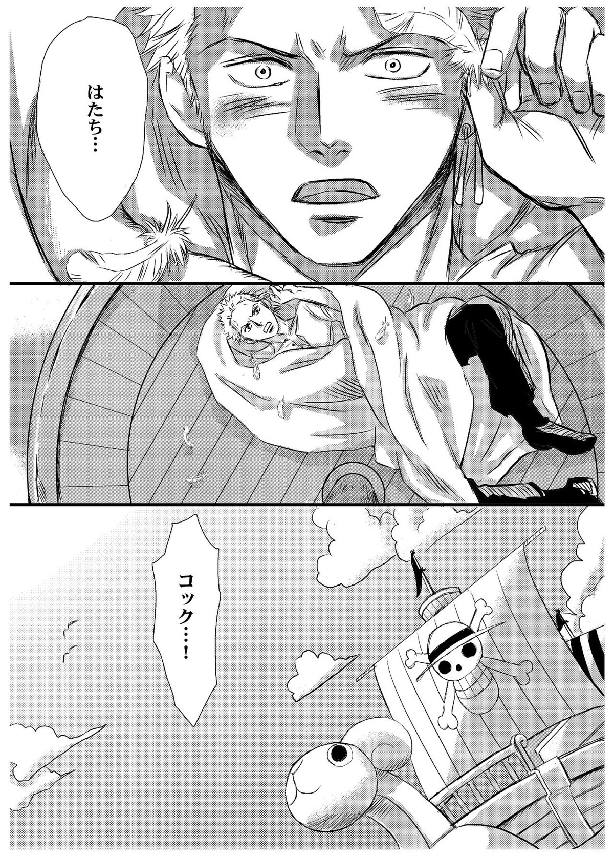 引力で離さない【ONE PIECE/サンゾロ】 page 12