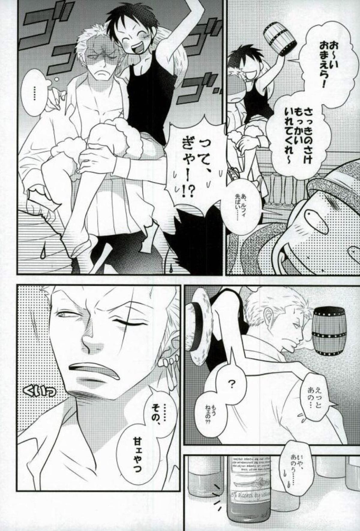 おれの相棒のはなし【ONE PIECE/ゾロル】 page 13