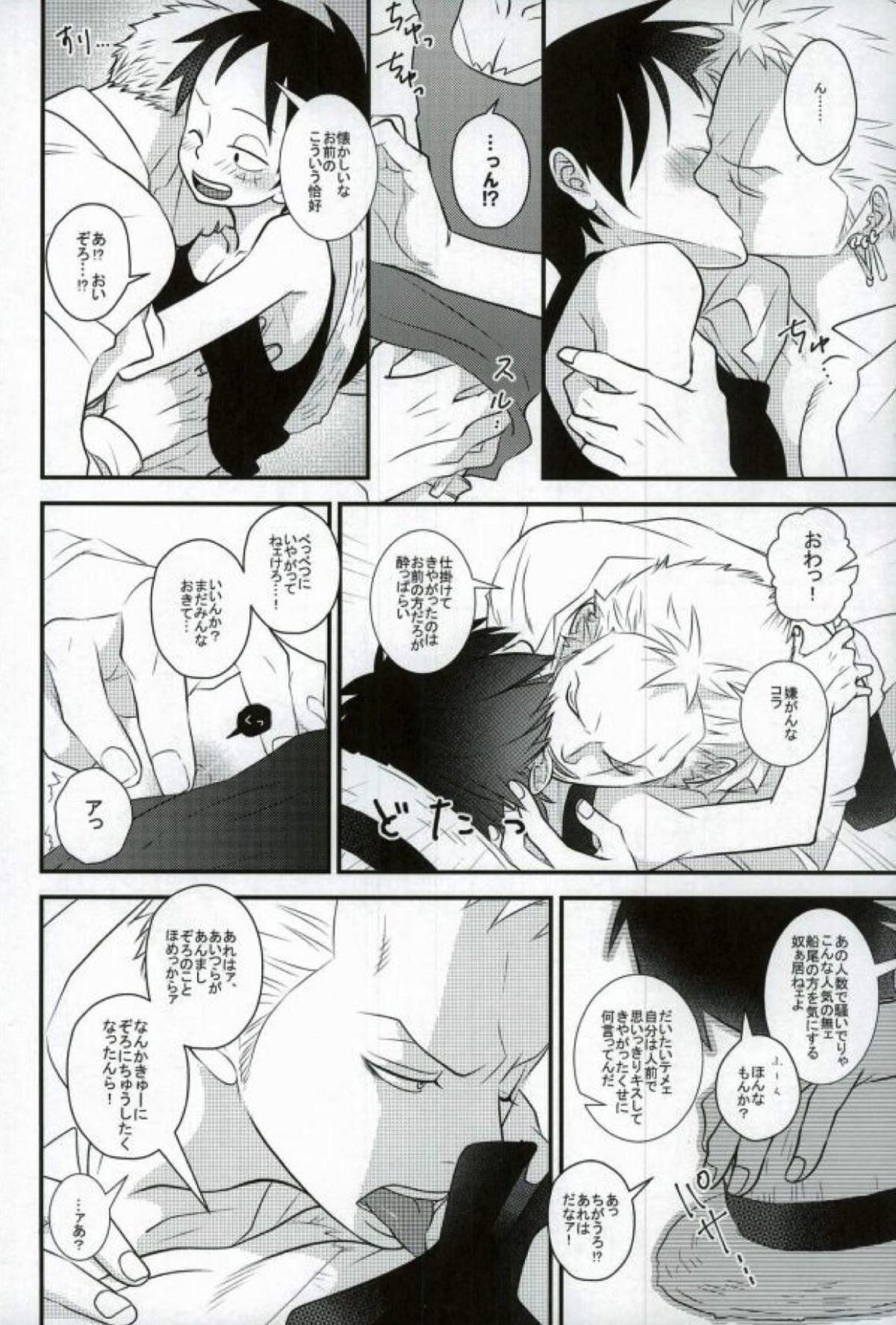 おれの相棒のはなし【ONE PIECE/ゾロル】 page 17