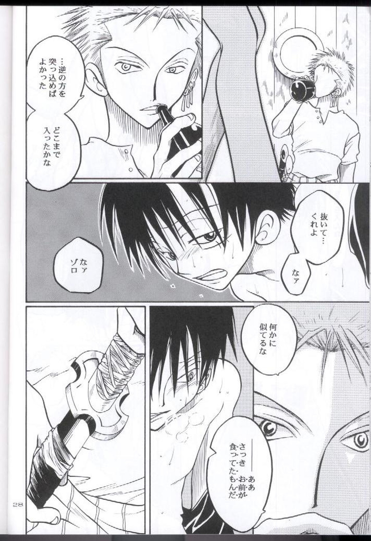 装填【ONE PIECE/ゾロル】 page 27