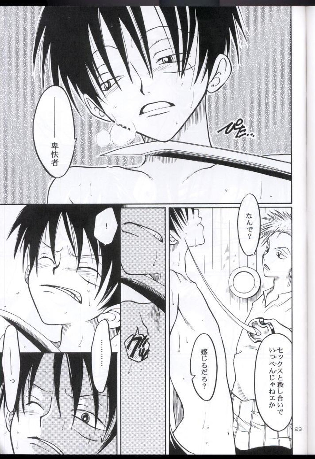 装填【ONE PIECE/ゾロル】 page 28