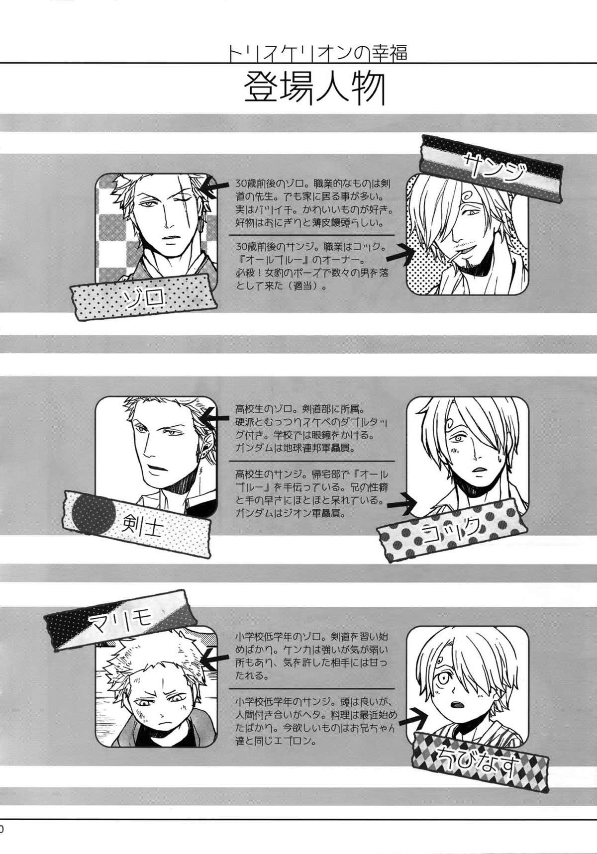 THE BEST SEASON【ONE PIECE/ゾロサン】 page 29