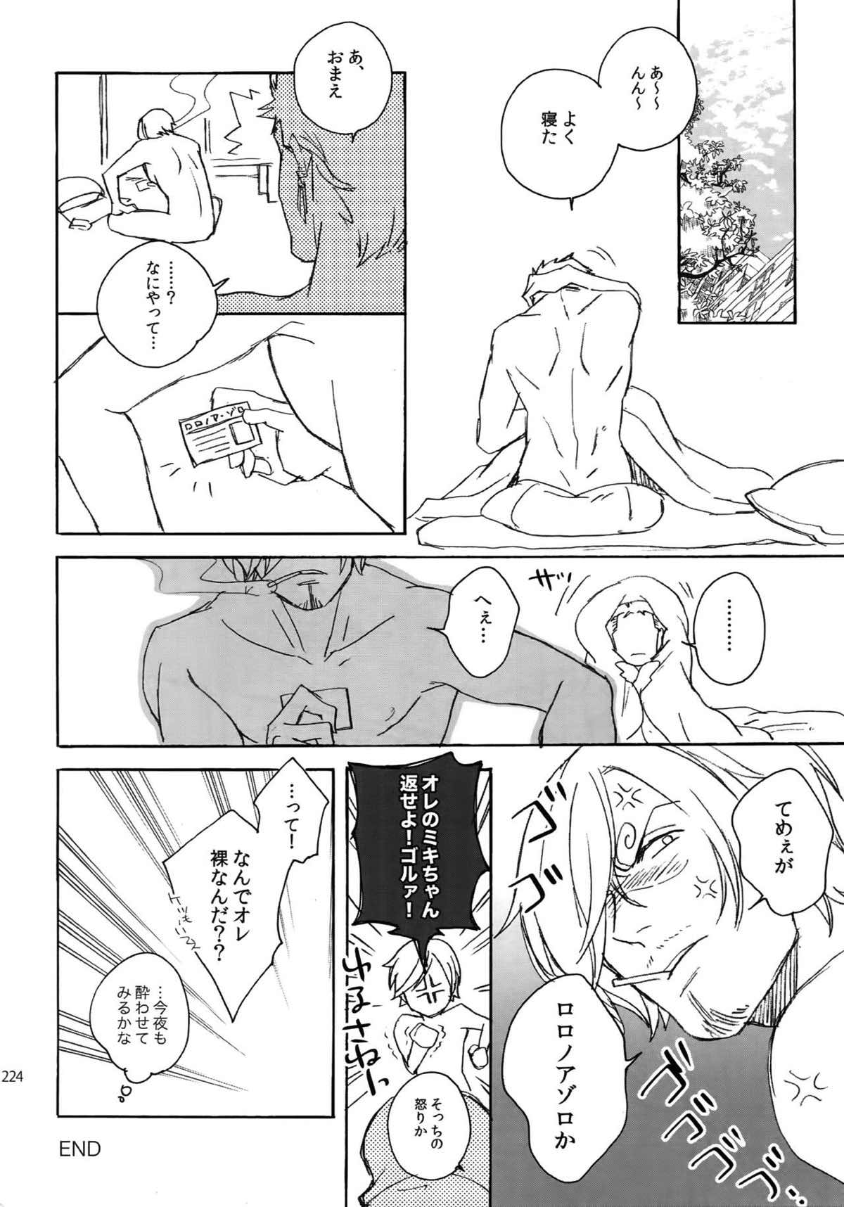 THE BEST SEASON【ONE PIECE/ゾロサン】 page 221