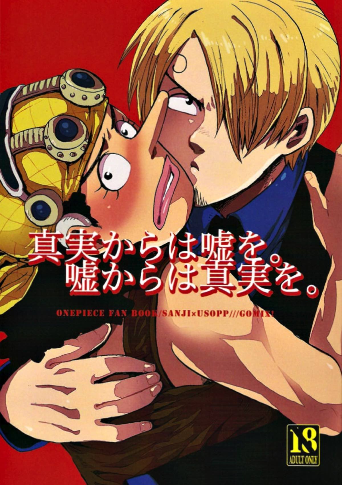 真実からは嘘を。嘘からは真実を。【ONE PIECE/サンウソ】