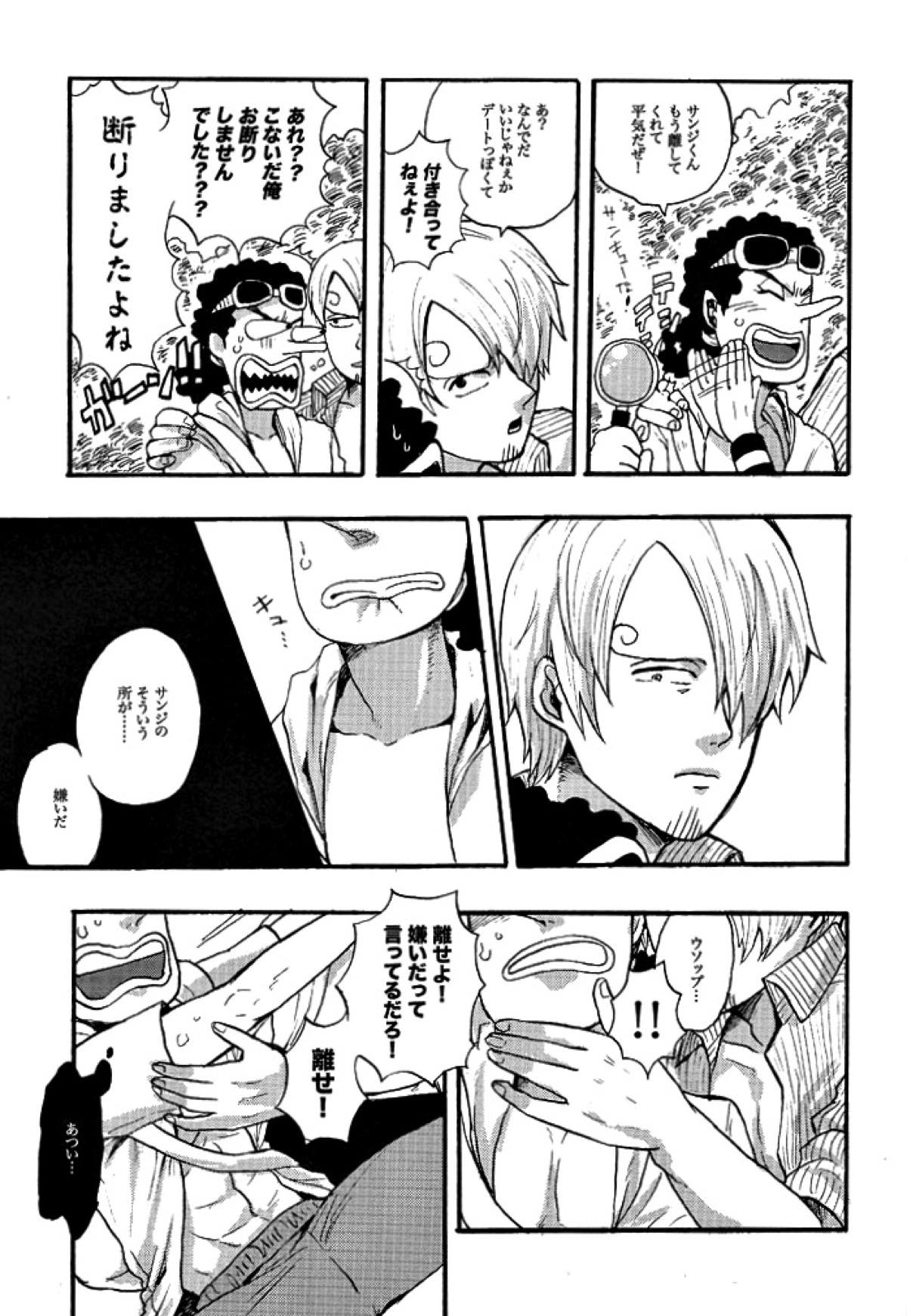 真実からは嘘を。嘘からは真実を。【ONE PIECE/サンウソ】 page 12