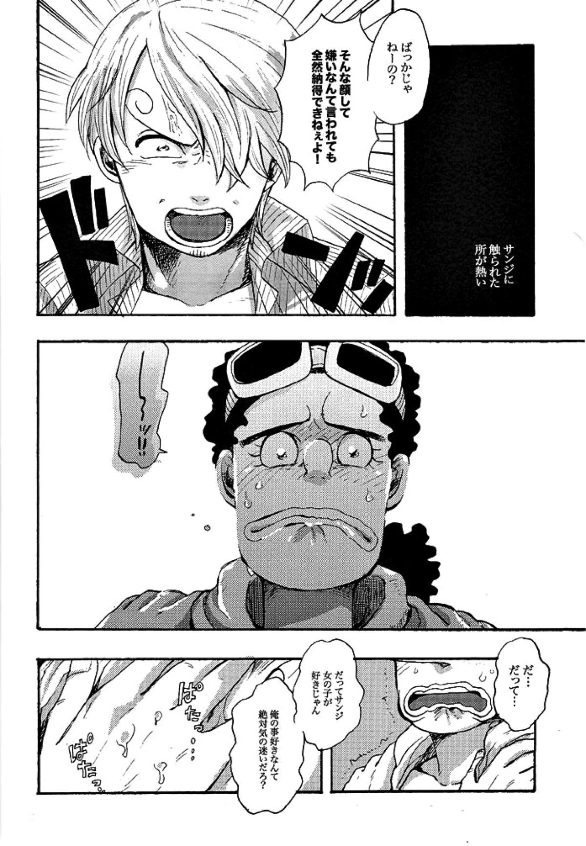 真実からは嘘を。嘘からは真実を。【ONE PIECE/サンウソ】 page 13