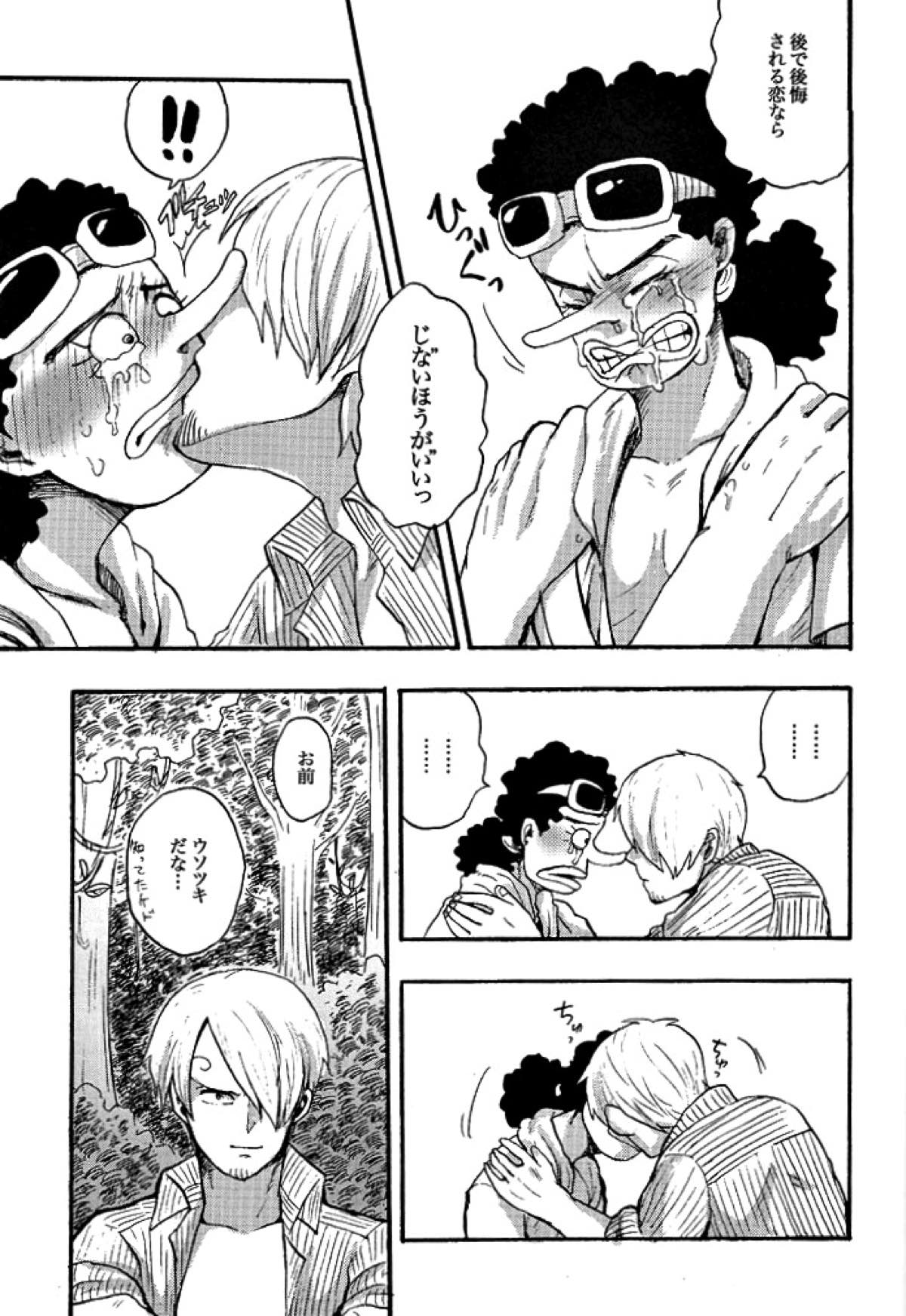 真実からは嘘を。嘘からは真実を。【ONE PIECE/サンウソ】 page 14