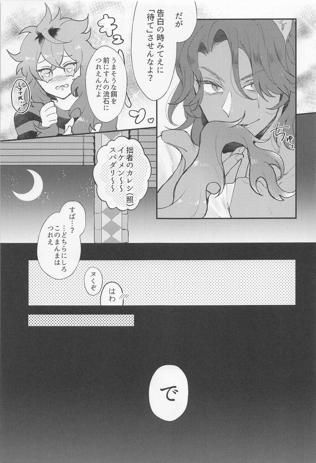 tani【その他/レオイデ】 page 12