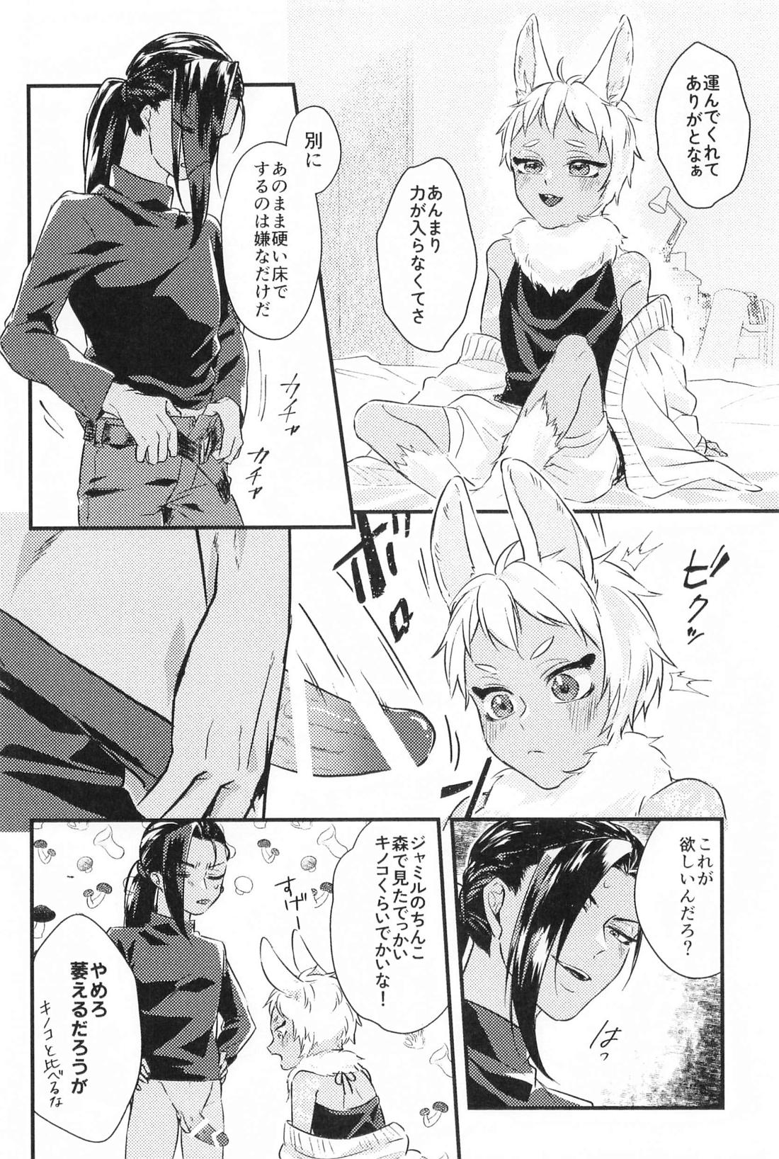 わがままうさぎとの暮らし方【その他/ジャミカリ】 page 13