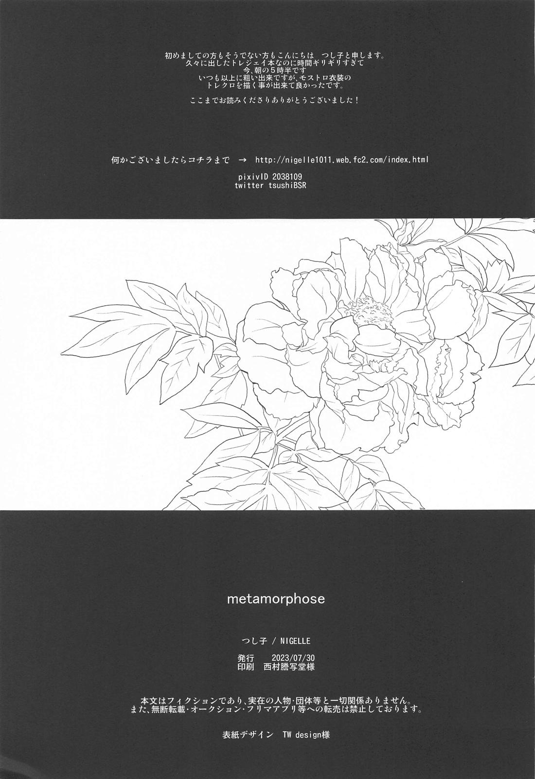 メタモルフォーゼ【その他/トレジェイ】 page 28