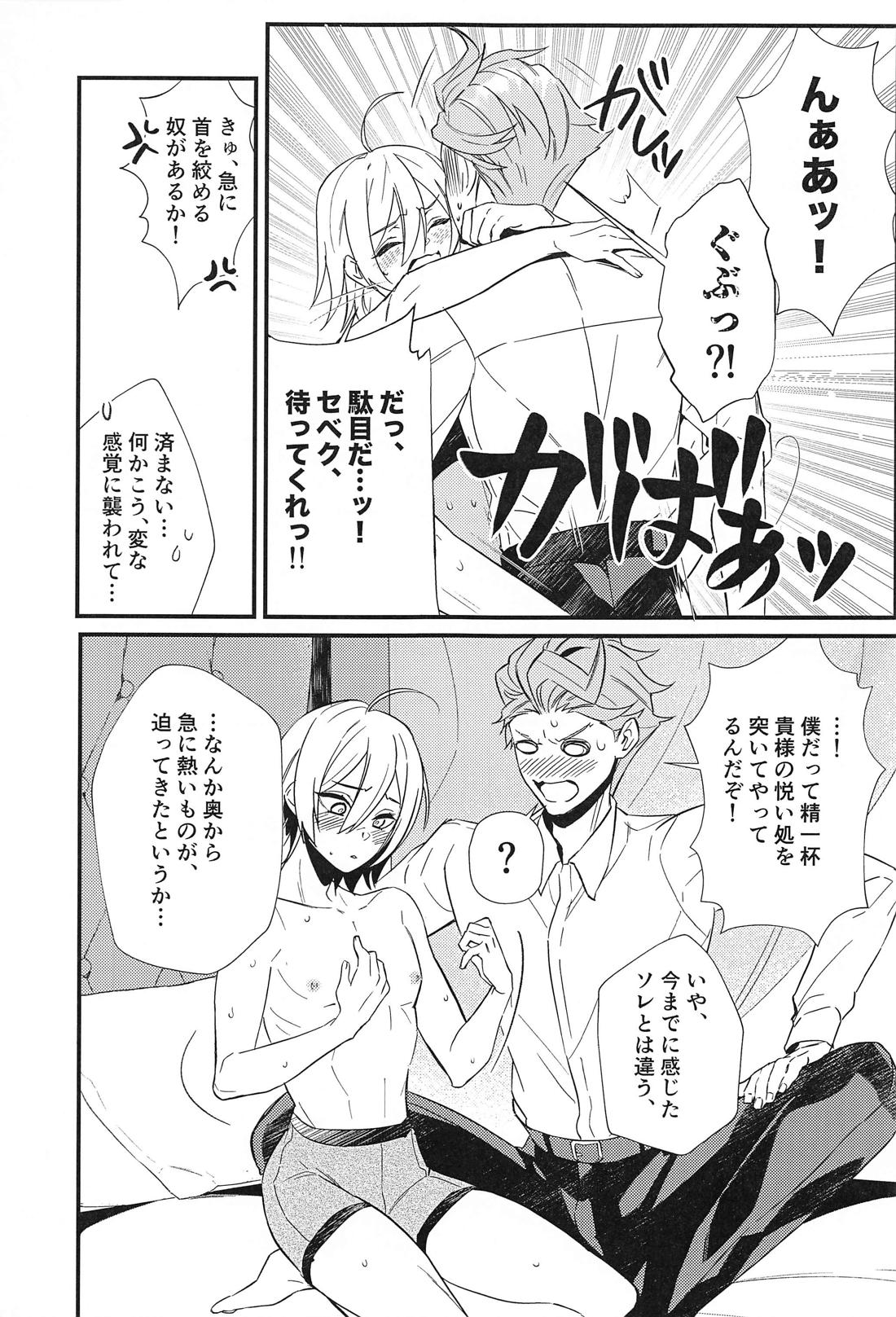 シルぱいのひみつ【その他/セベシル】 page 14