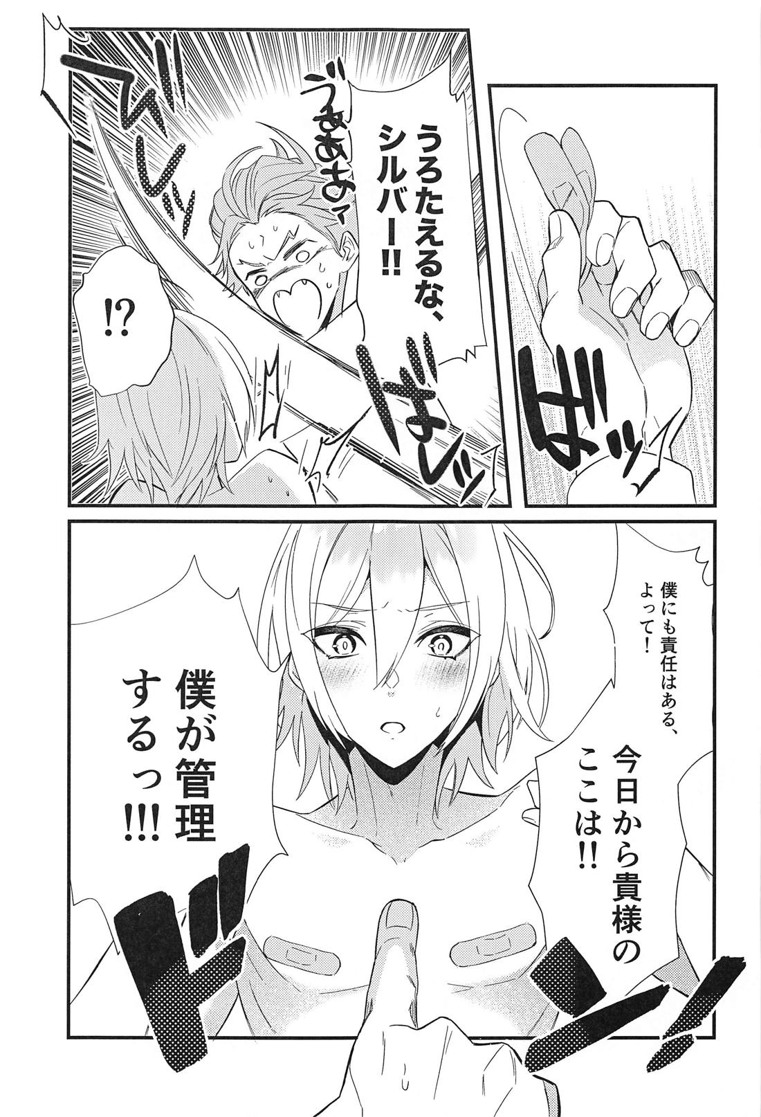 シルぱいのひみつ【その他/セベシル】 page 20