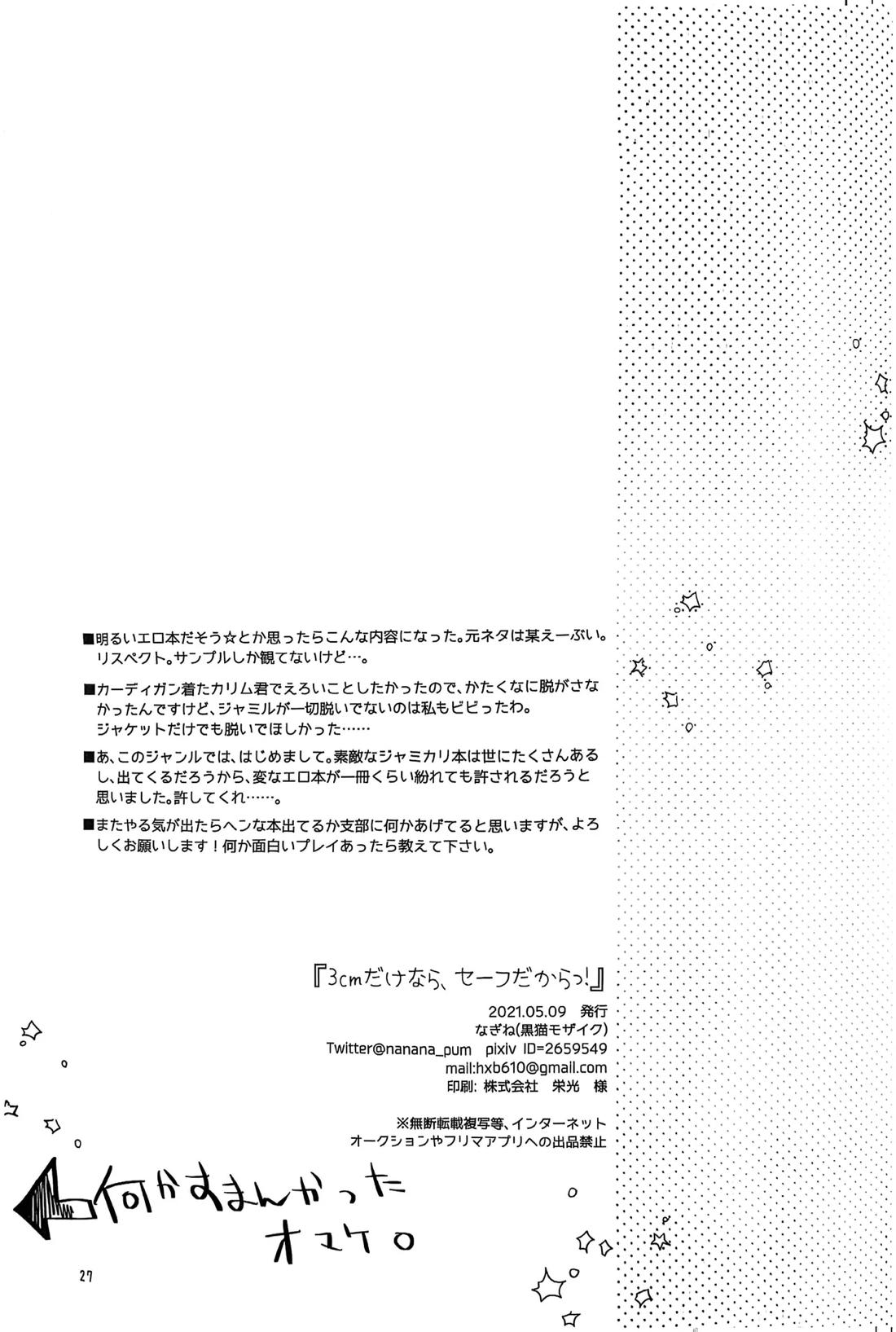3CMはセーフ！【その他/ジャミカリ】 page 25