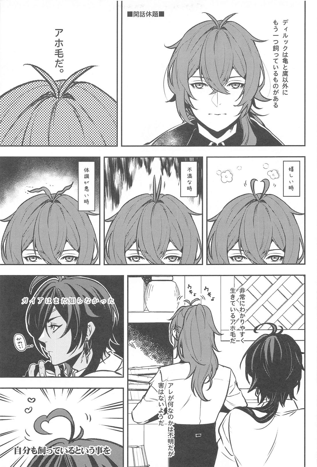 ろくでもない本【原神/ディルガイ】 page 12