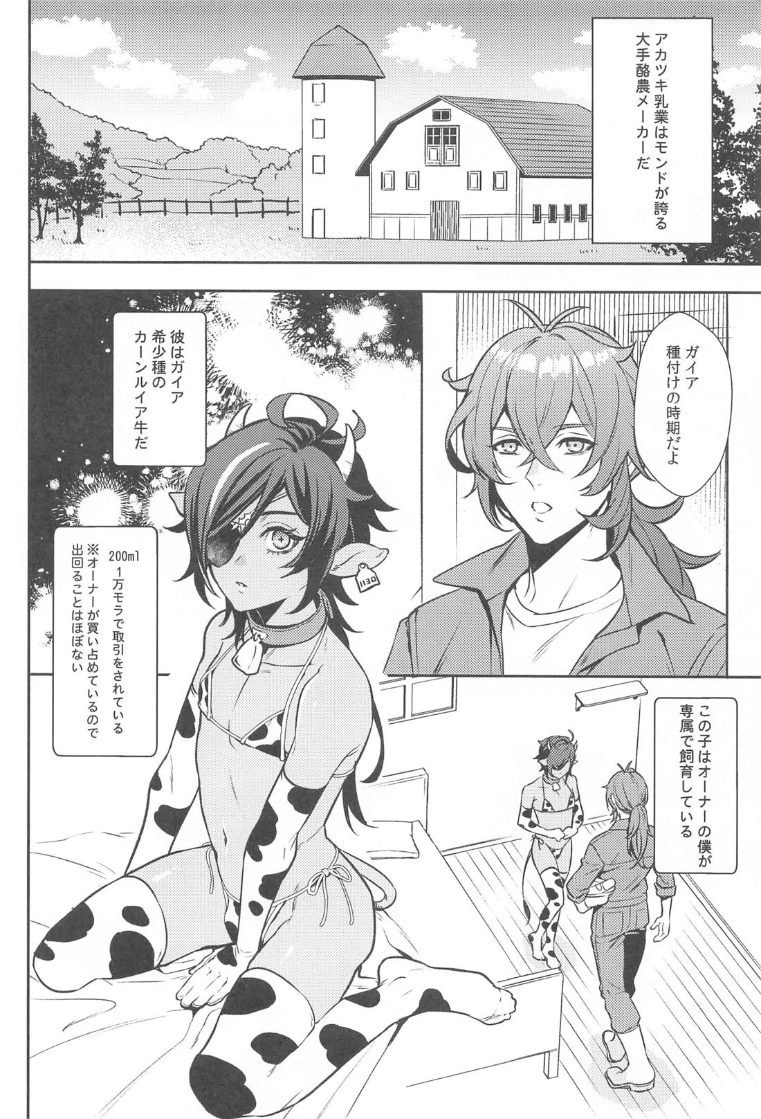 ろくでもない本【原神/ディルガイ】 page 13
