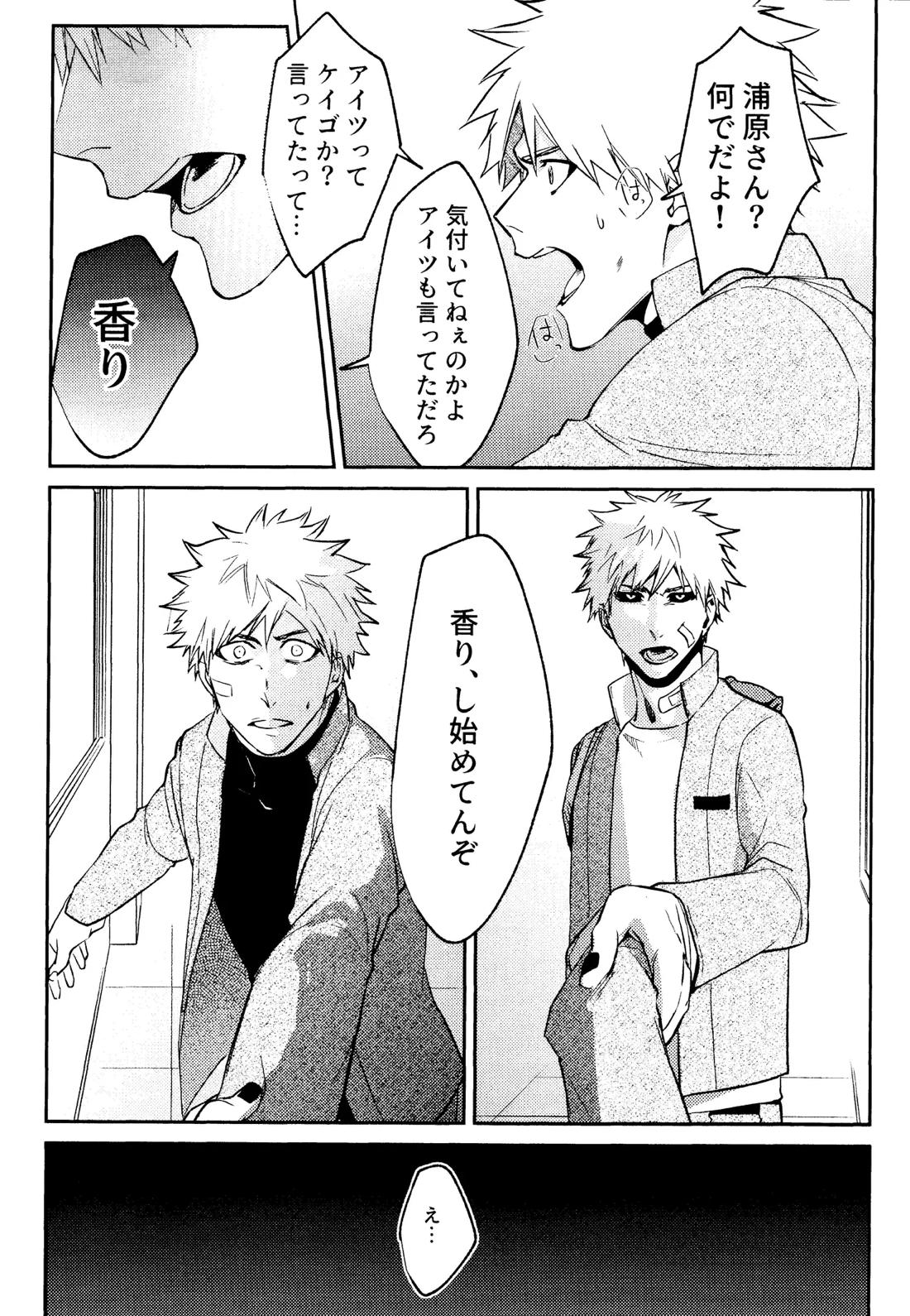 Re TorL【BLEACH/白一護×一護】 page 15