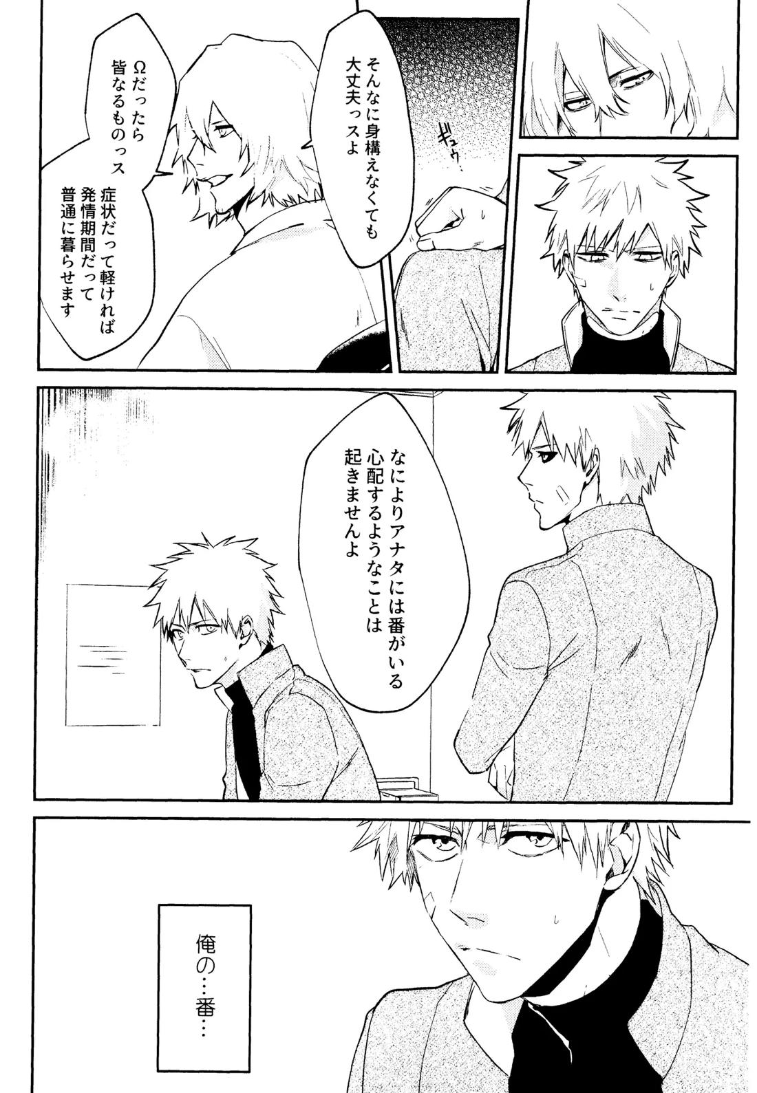 Re TorL【BLEACH/白一護×一護】 page 17