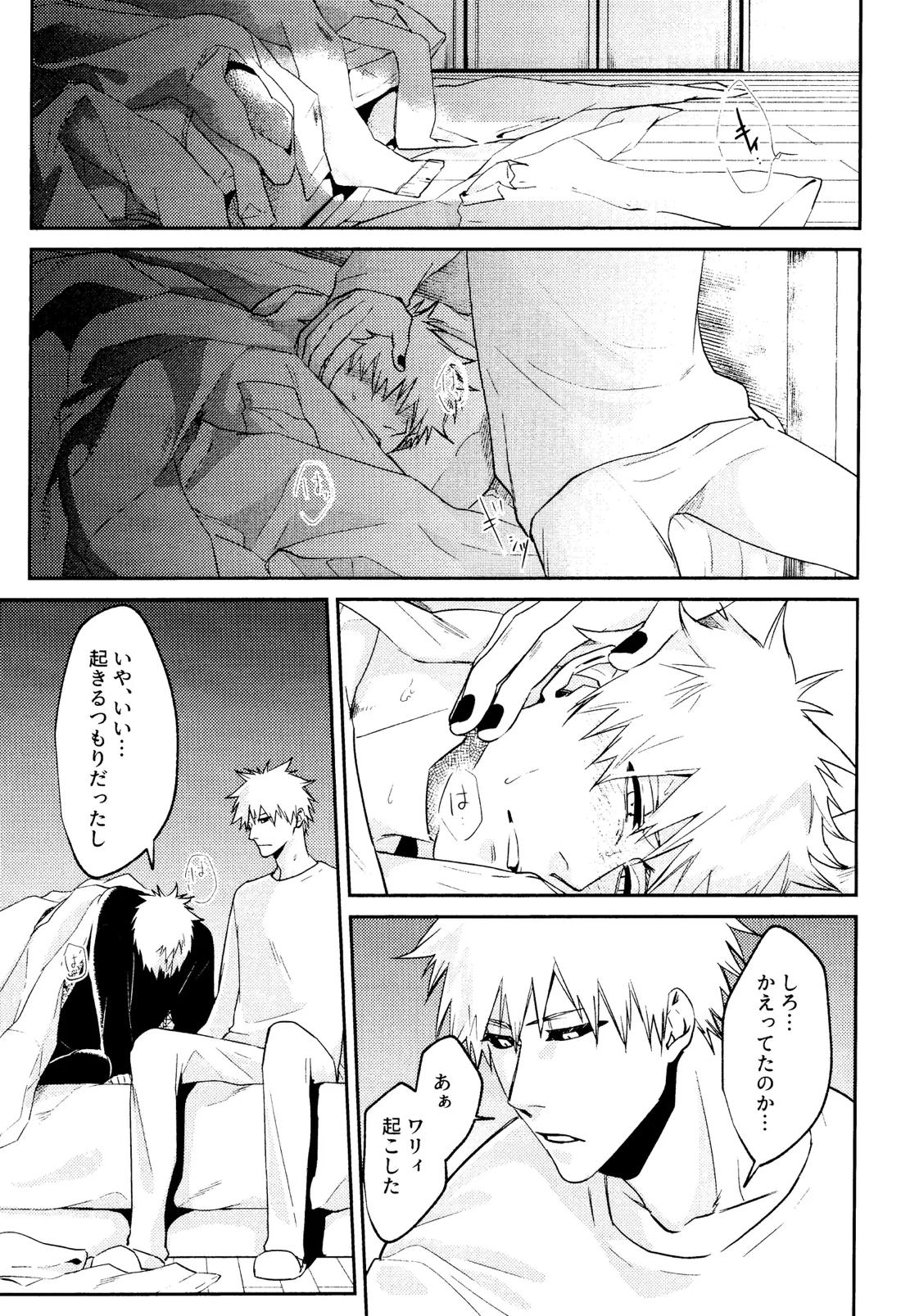 Re TorL【BLEACH/白一護×一護】 page 26