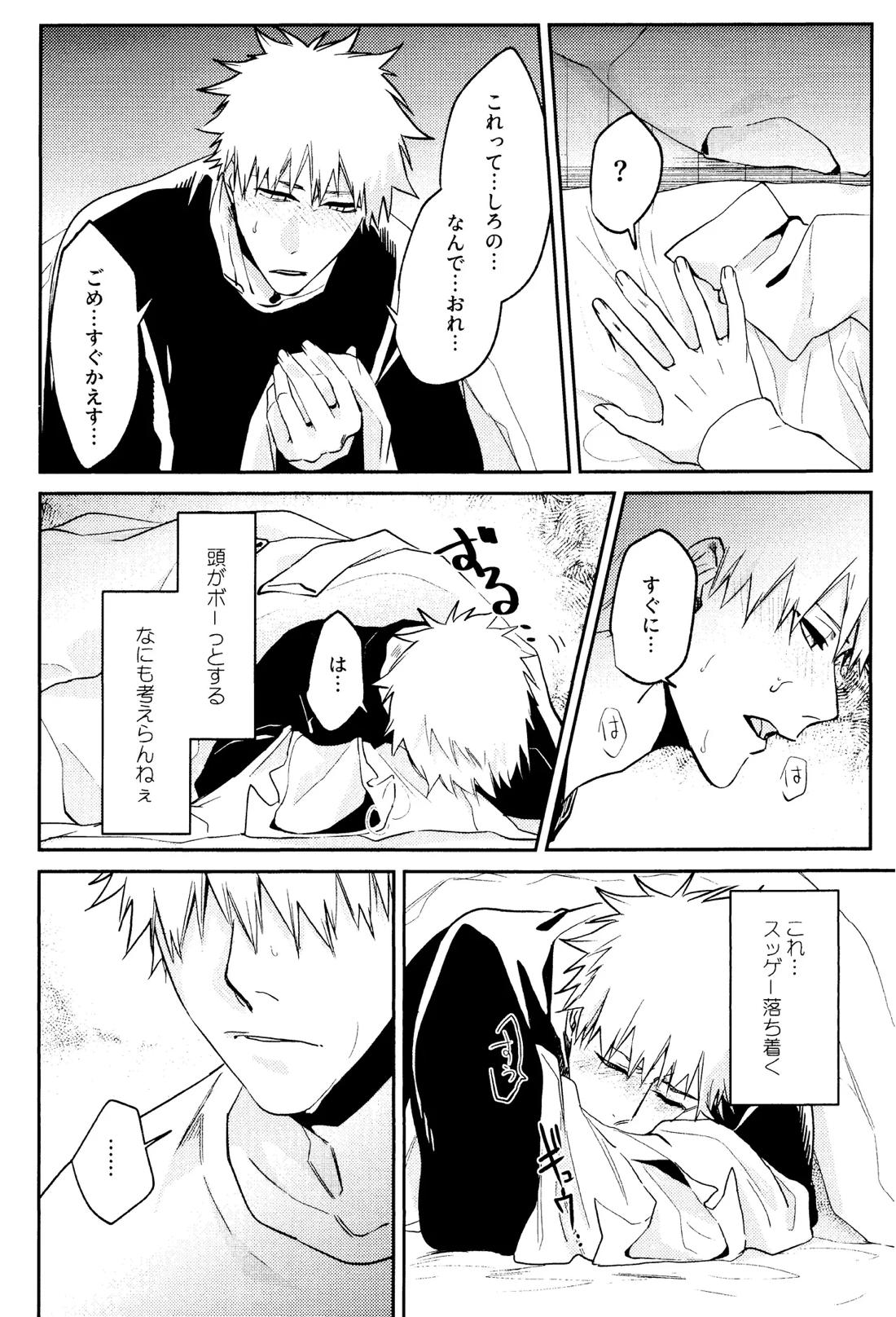Re TorL【BLEACH/白一護×一護】 page 27
