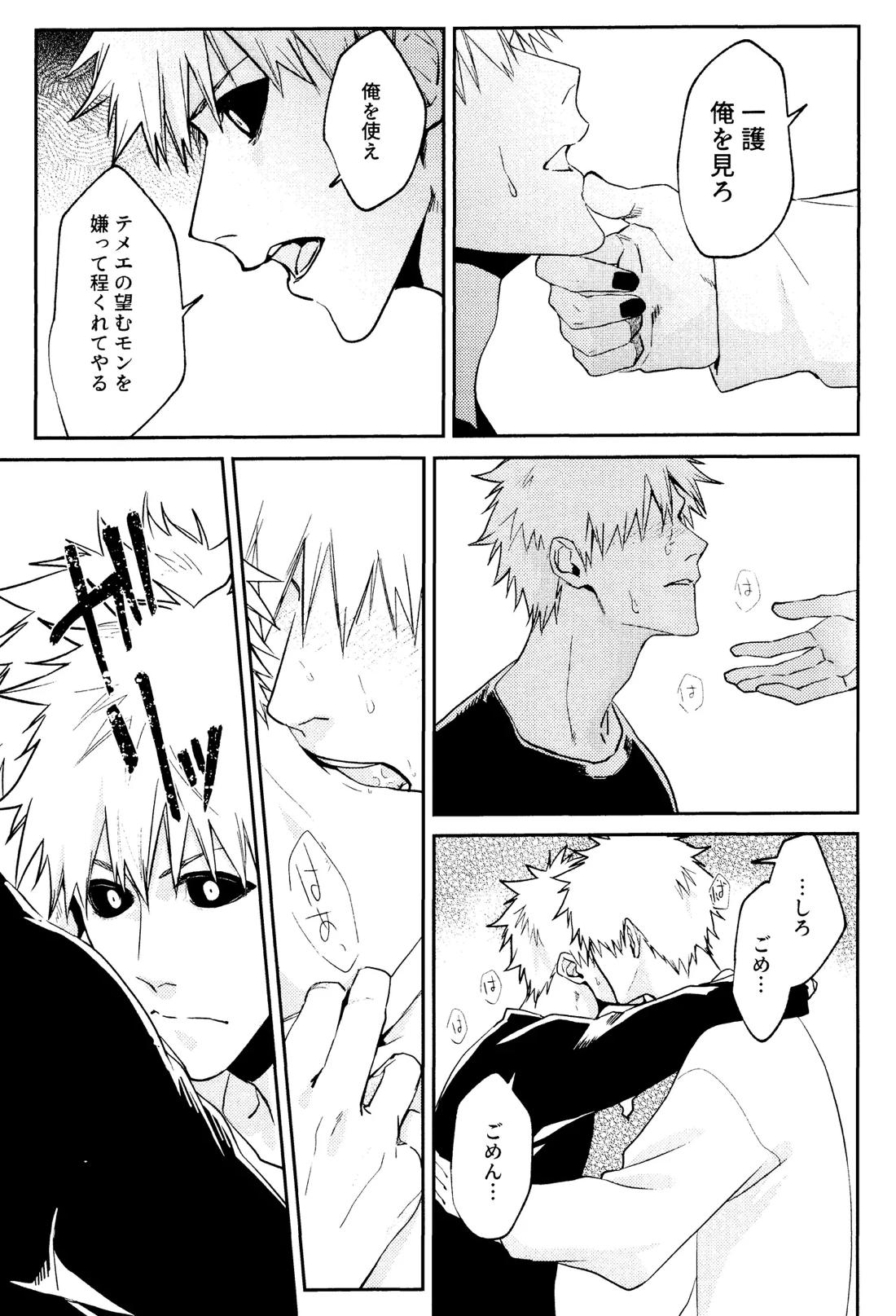Re TorL【BLEACH/白一護×一護】 page 28