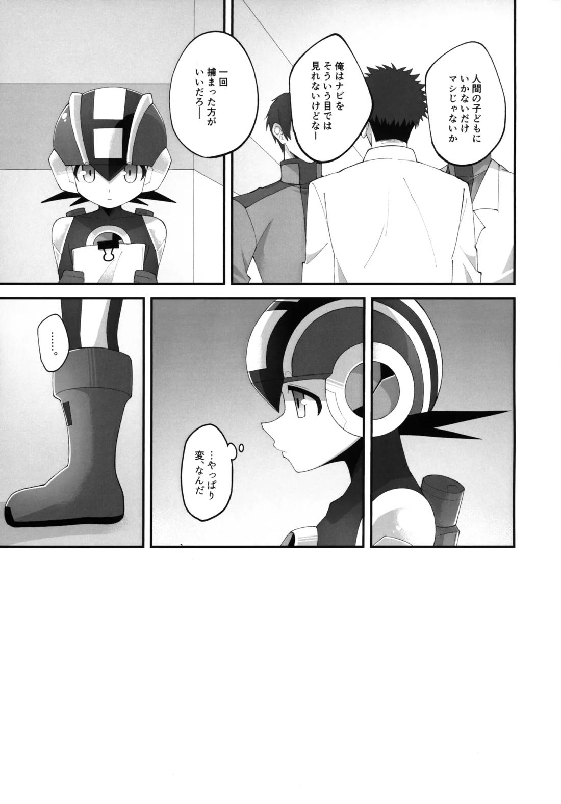 ひかりのマリアージュ【ロックマンエグゼ/熱ロク】 page 12
