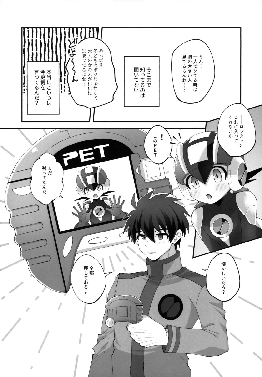 ひかりのマリアージュ【ロックマンエグゼ/熱ロク】 page 15