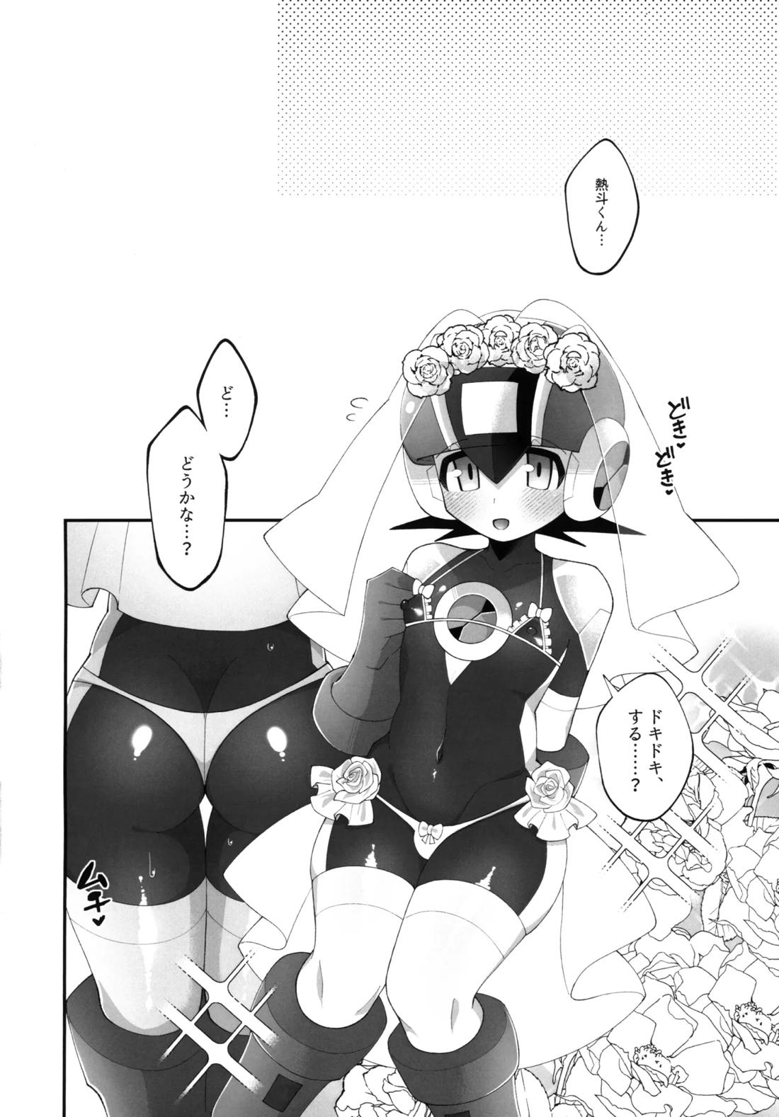 ひかりのマリアージュ【ロックマンエグゼ/熱ロク】 page 17