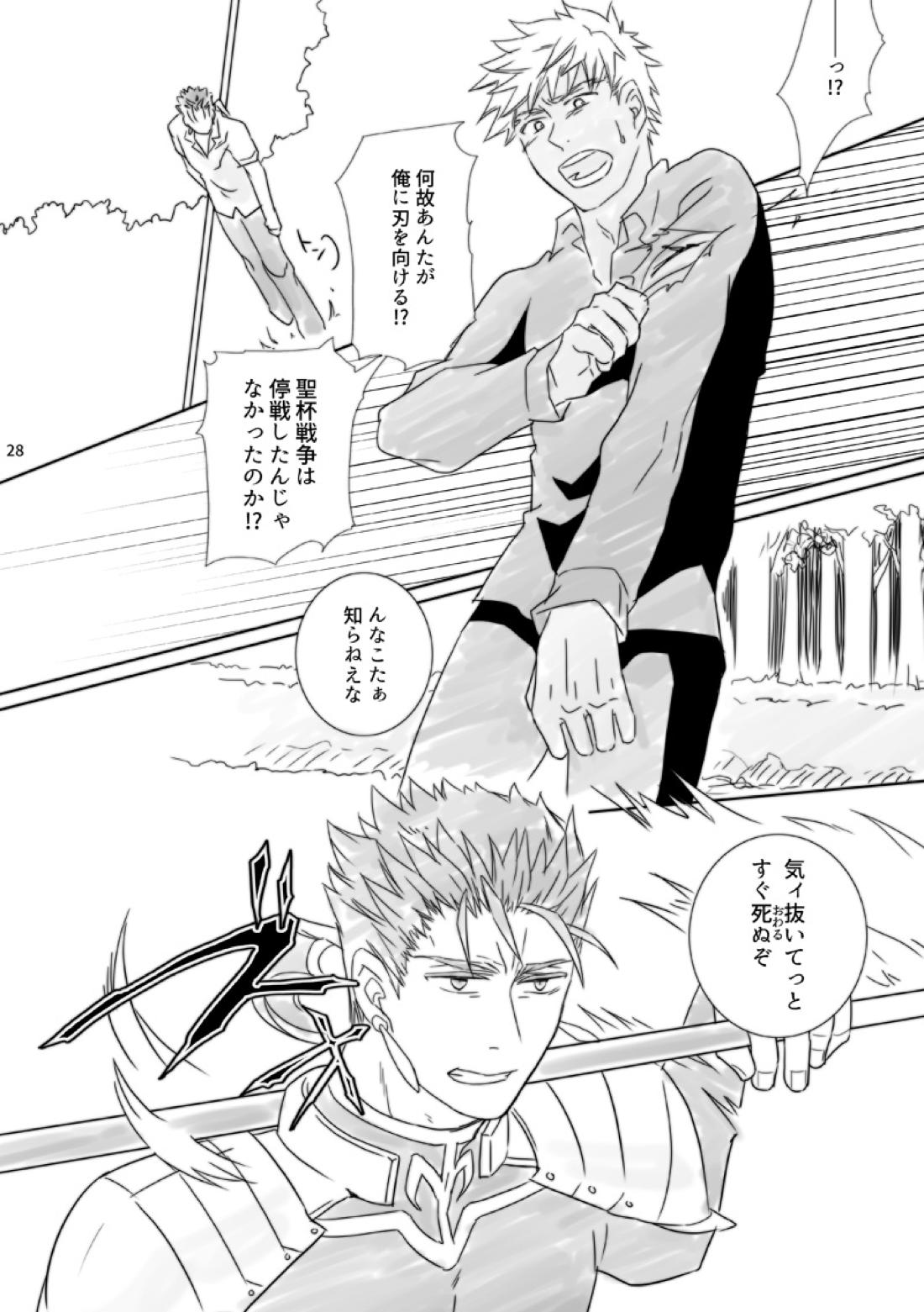 神様、もう少しだけ【Fateシリーズ/槍弓】 page 27