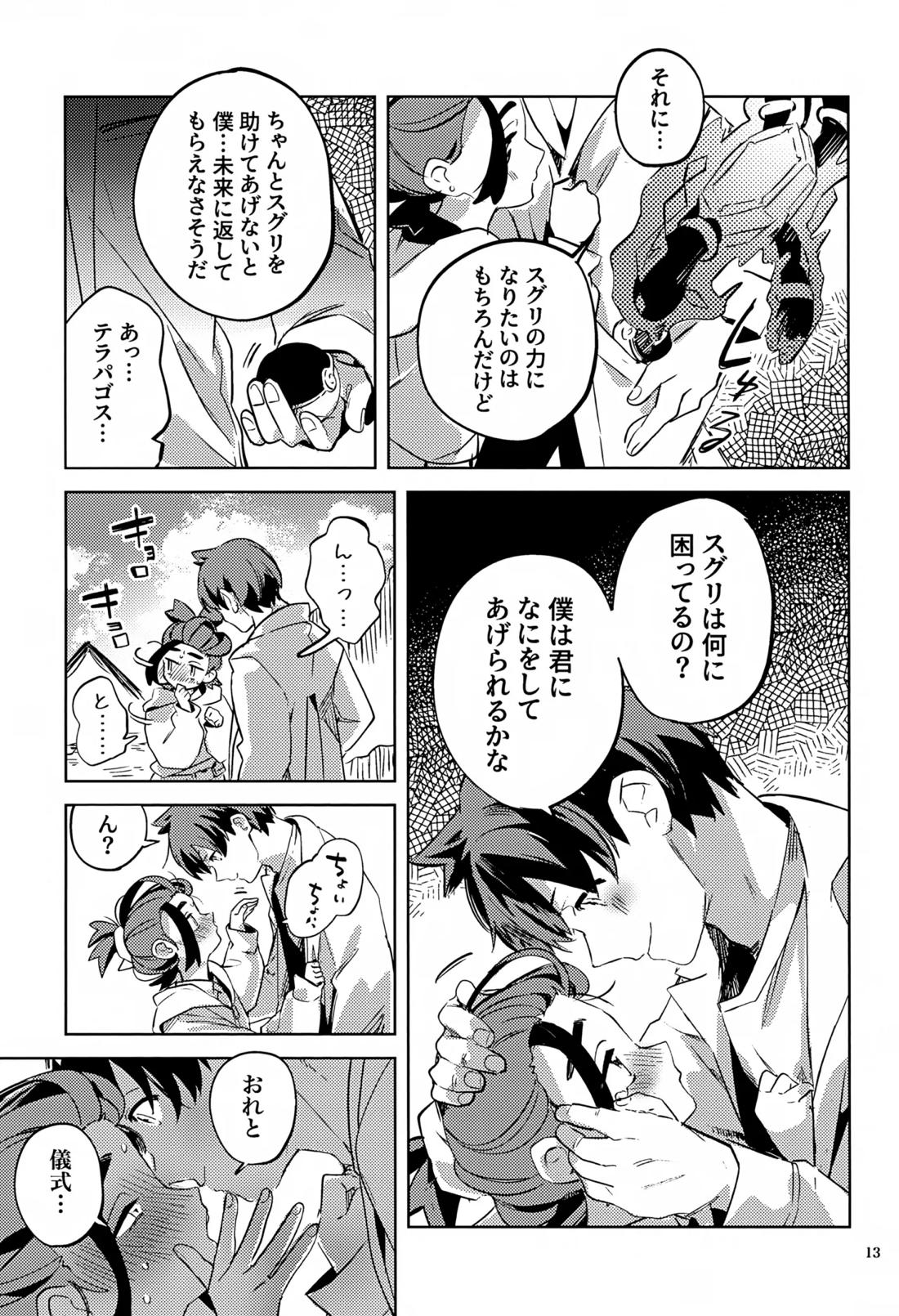 時空超越キタカミ淫習【ポケモン/ハルスグ】 page 12