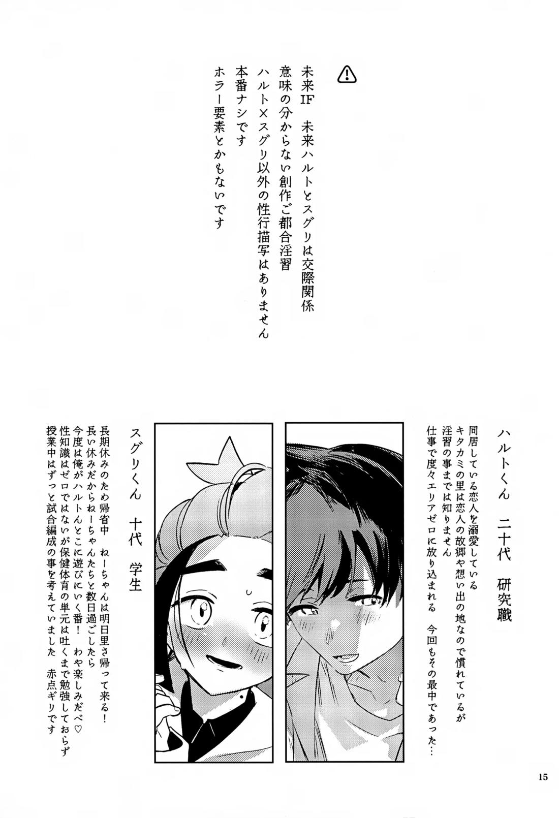 時空超越キタカミ淫習【ポケモン/ハルスグ】 page 14