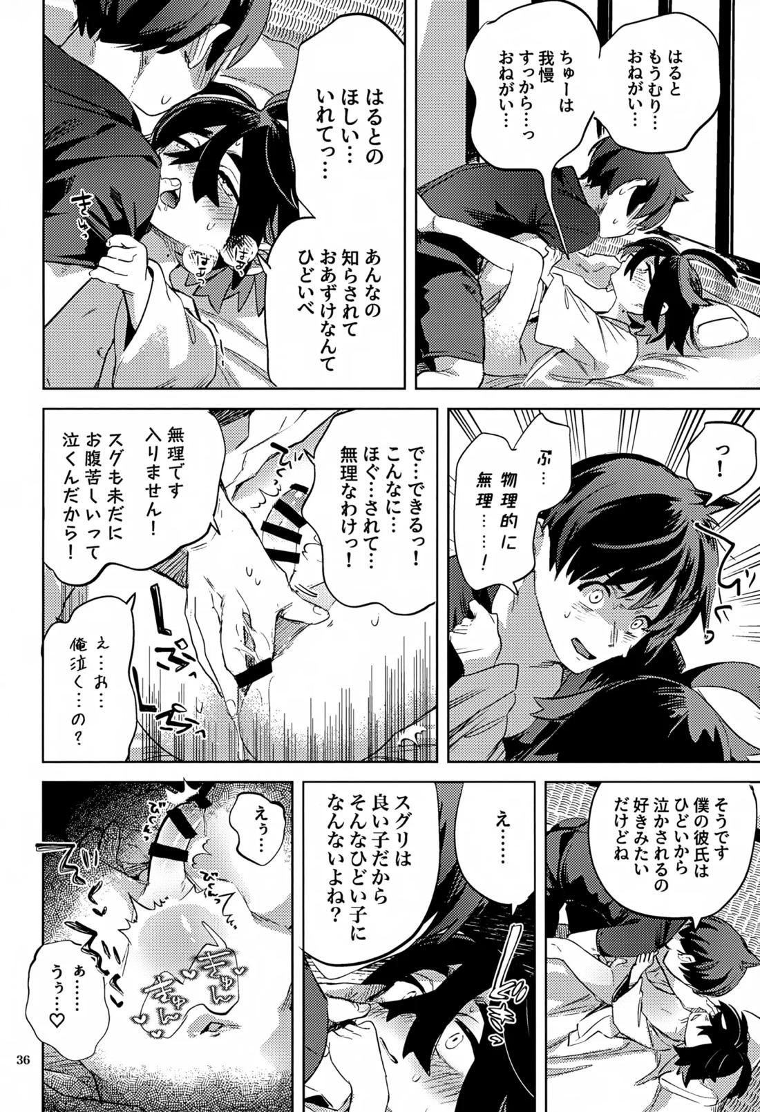 時空超越キタカミ淫習【ポケモン/ハルスグ】 page 35