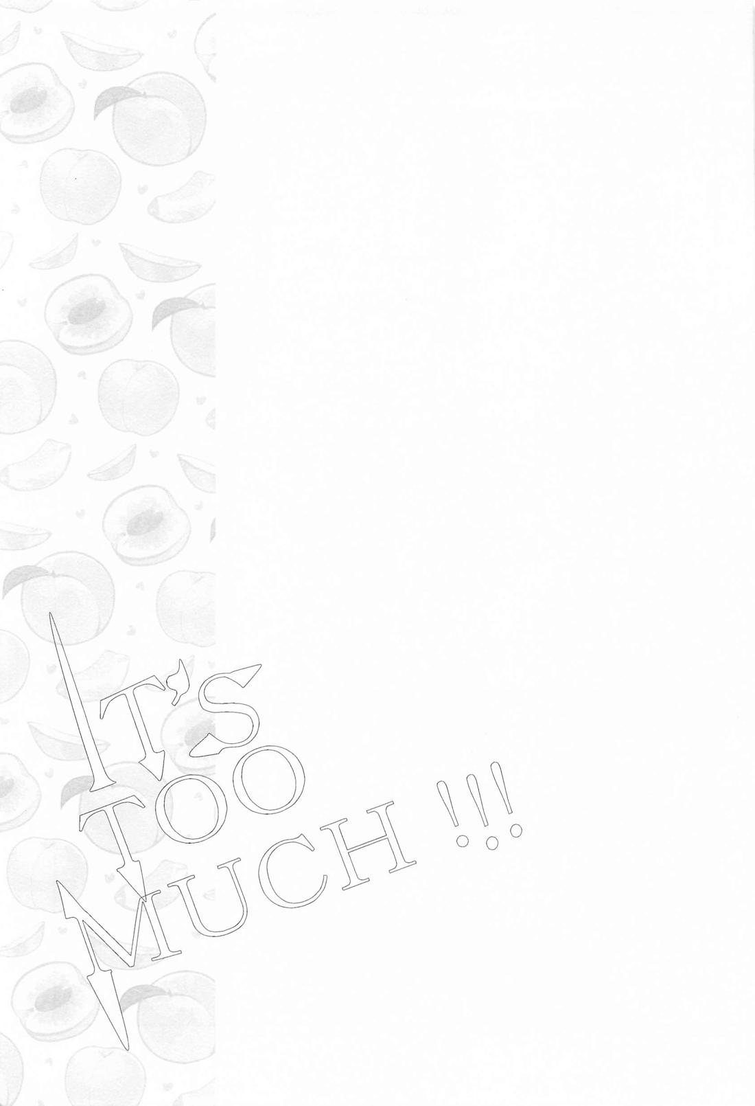 IT’S TOO MUCH！【その他/シルセベ】 page 18