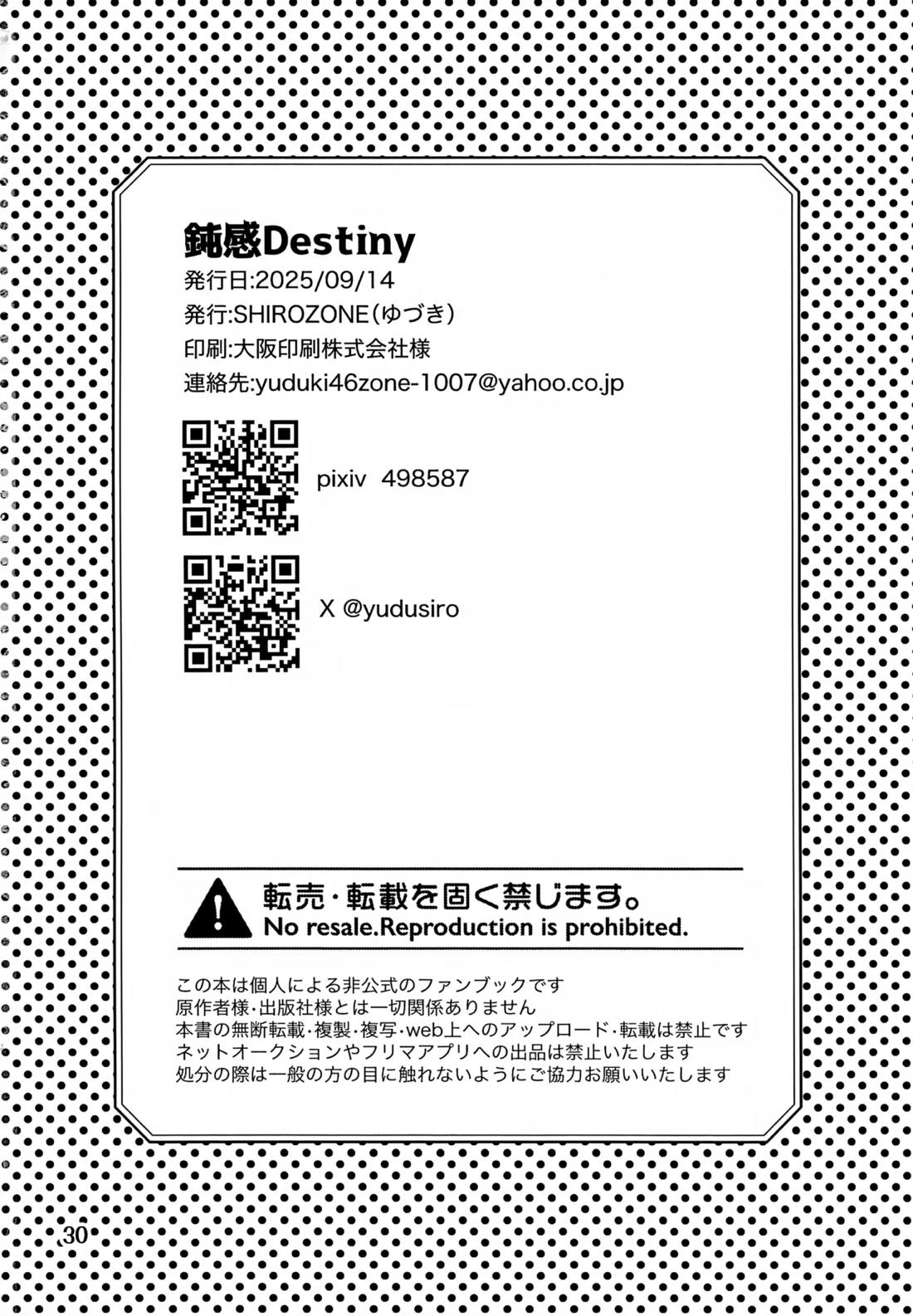 鈍感DESTINY【HUNTER×HUNTER/キルゴン】 page 29