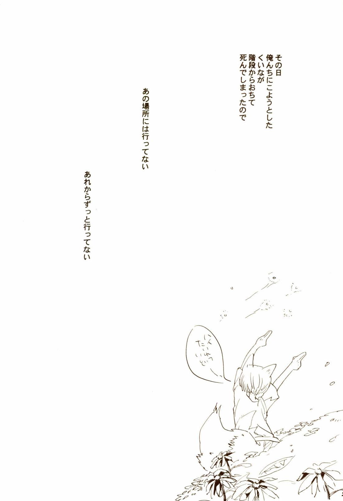 秋のユメランド【ONE PIECE/ゾロサン】 page 25
