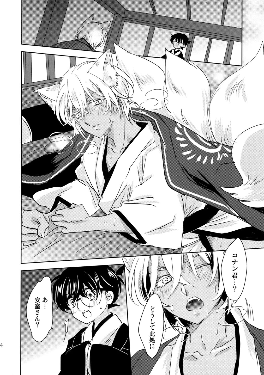 金毛九尾のお嫁さん【名探偵コナン/降コ】 page 13