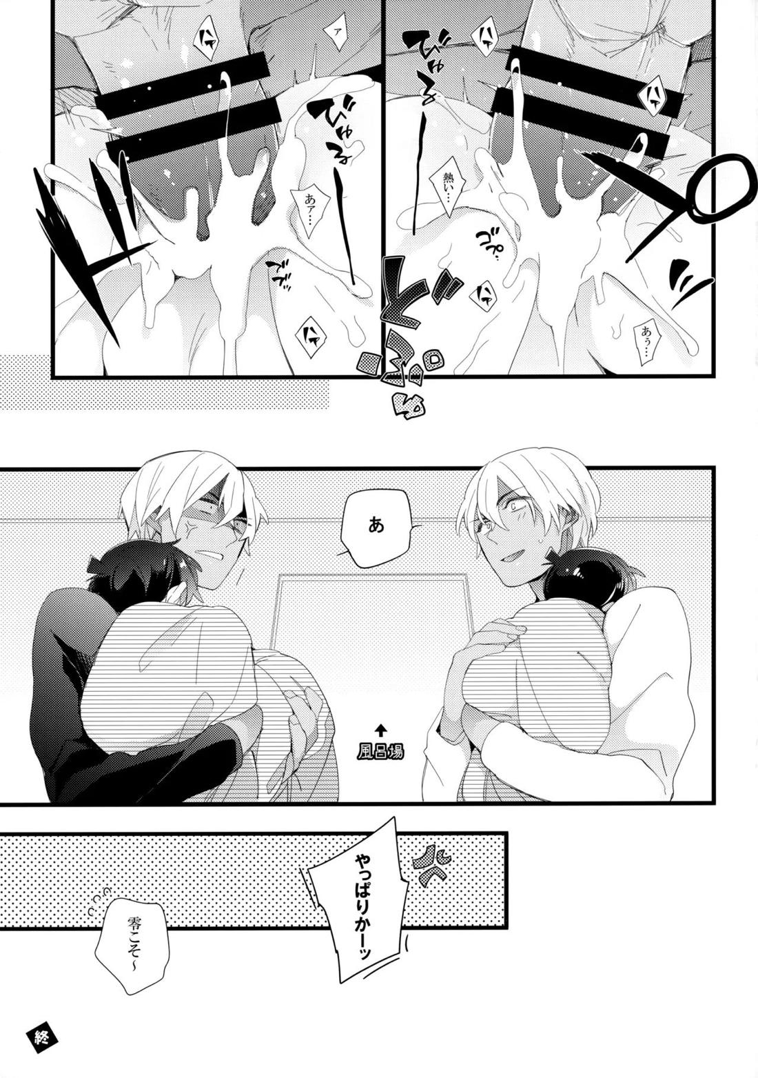 Which？【名探偵コナン/降新(降新)】 page 28