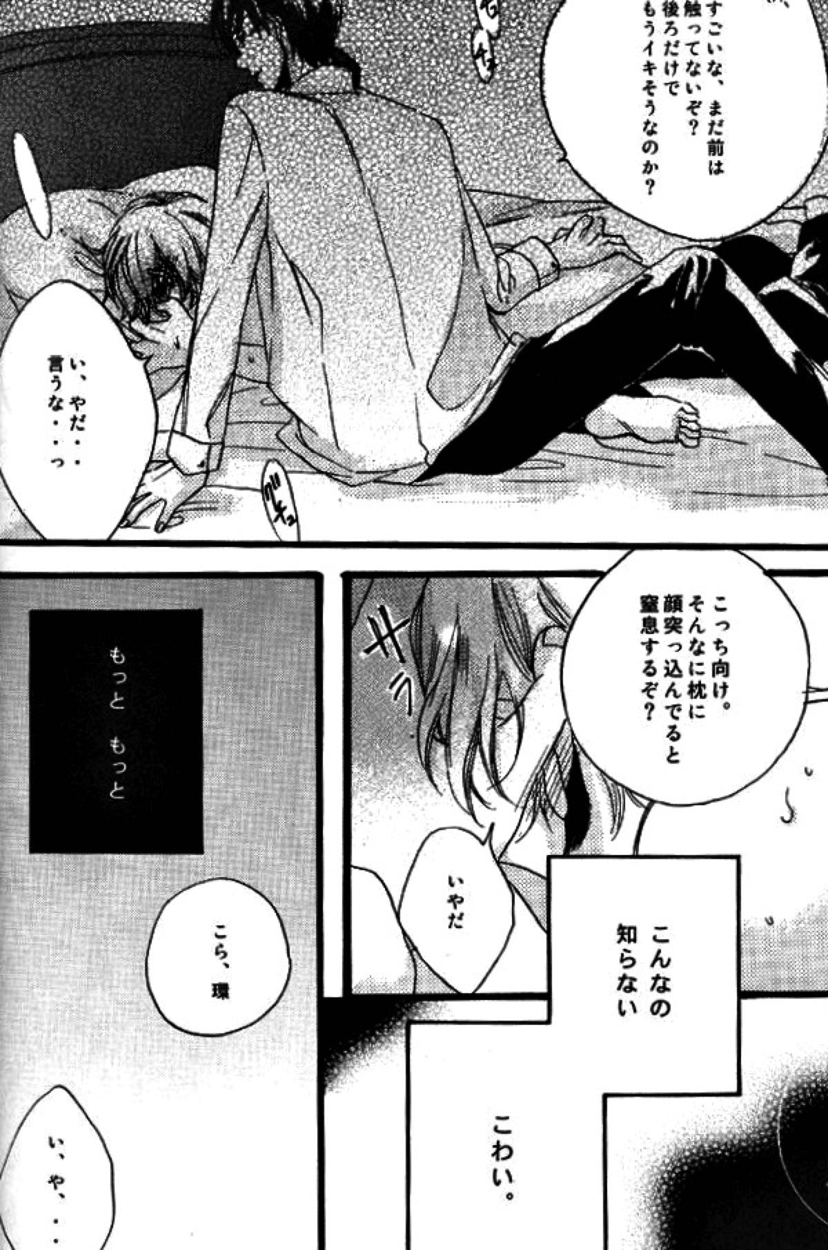 Night Dancer【桜蘭高校ホスト部/鏡夜×環】 page 14