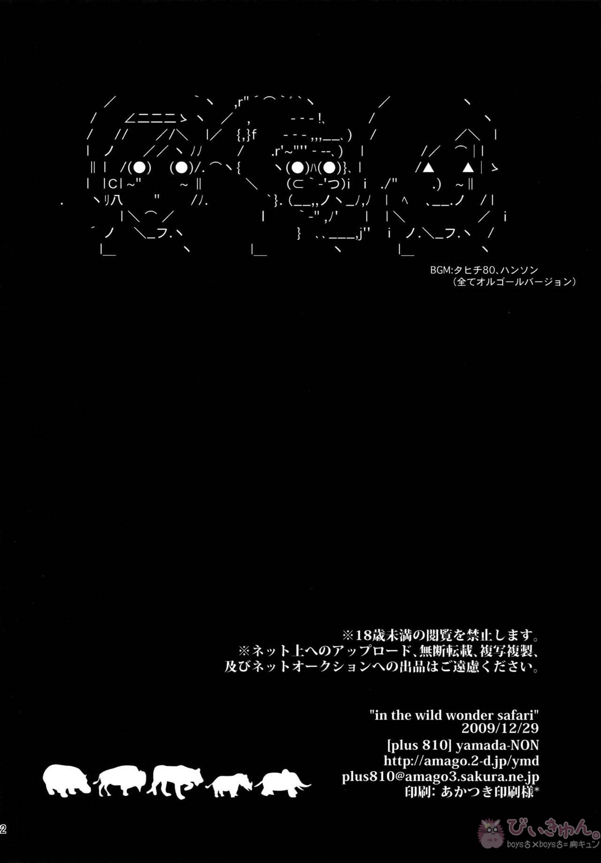 in the wild wonder safari【ペルソナ4/モブ×完二】 page 21