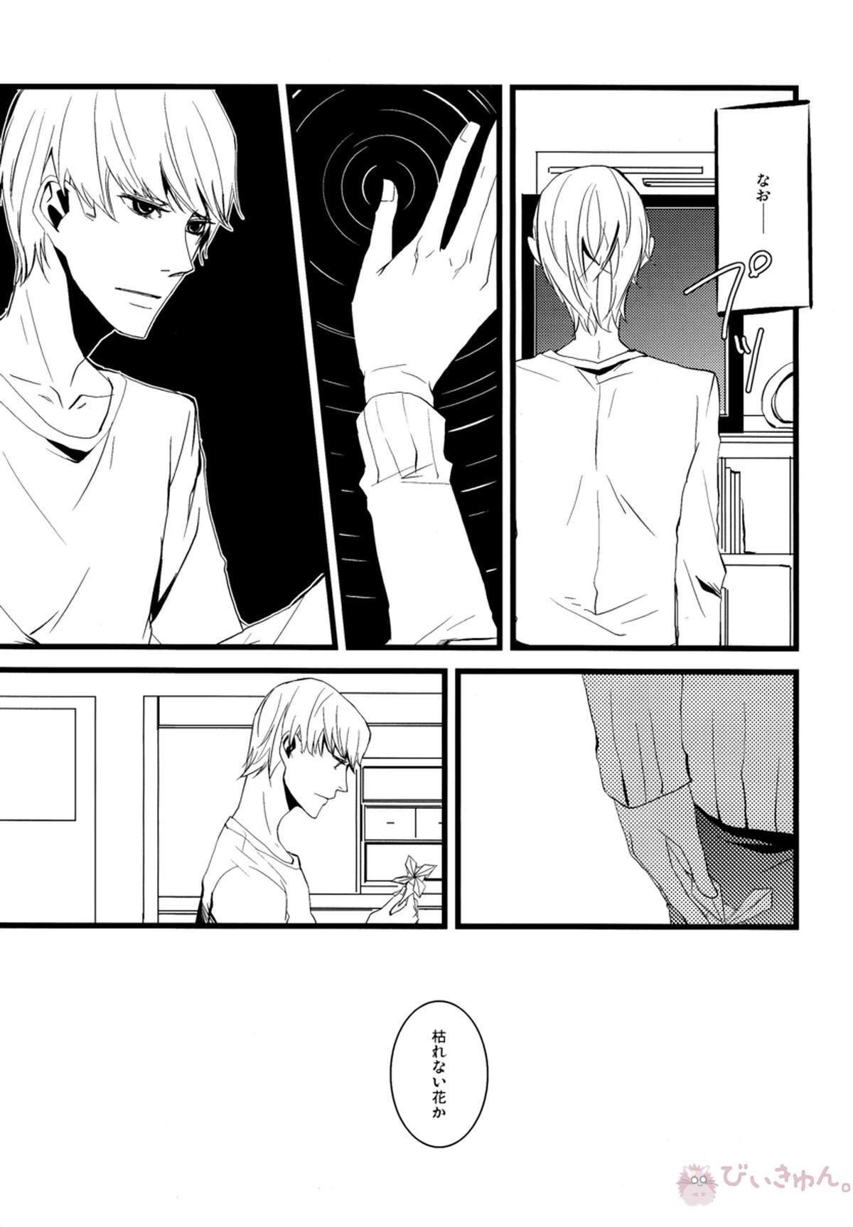 はなればなれ【ペルソナ4/花主】 page 14