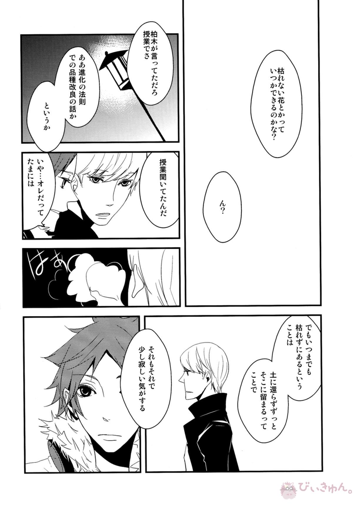 はなればなれ【ペルソナ4/花主】 page 25