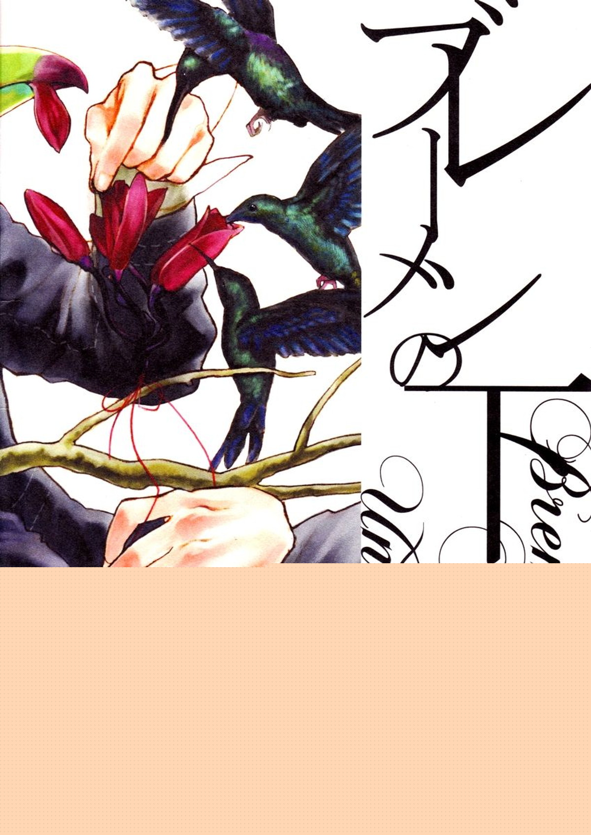ブレーメンの下【ペルソナ4/主完(主人公×巽完二)】 page 18