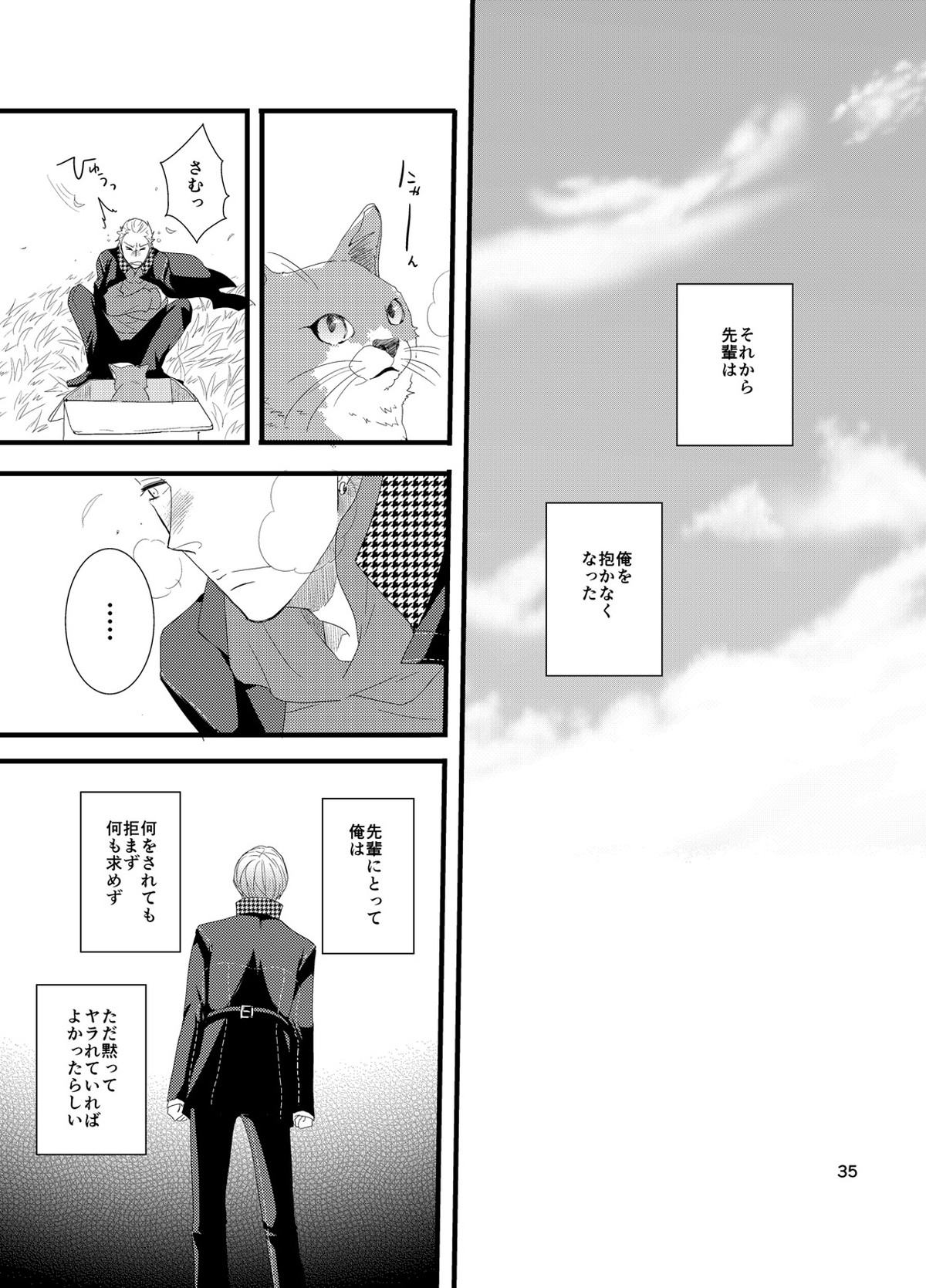 彼にしたいひどいこと。【ペルソナ4/主完(主人公×巽完二)】 page 34