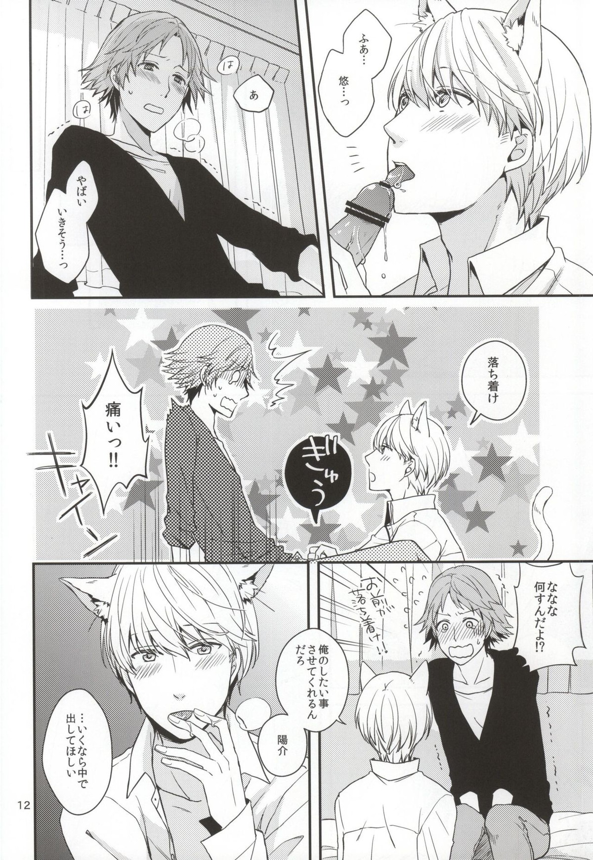 CRAZY CAT LOVER【ペルソナ4/花主】 page 11