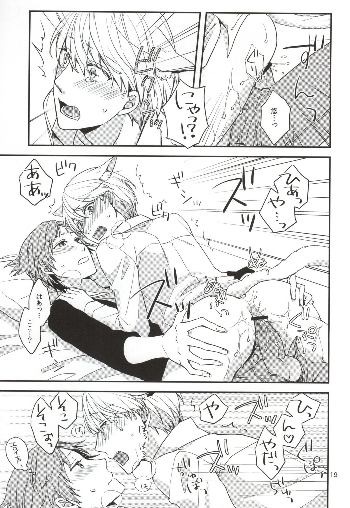 CRAZY CAT LOVER【ペルソナ4/花主】 page 18