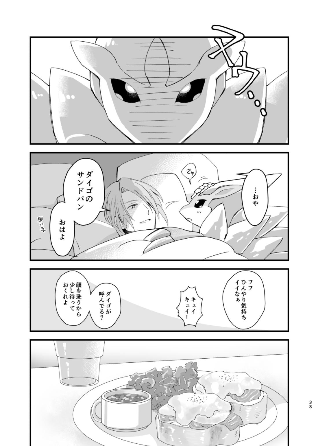 ジグザグ想いの果てに【ポケモン/ミクダイ】 page 30