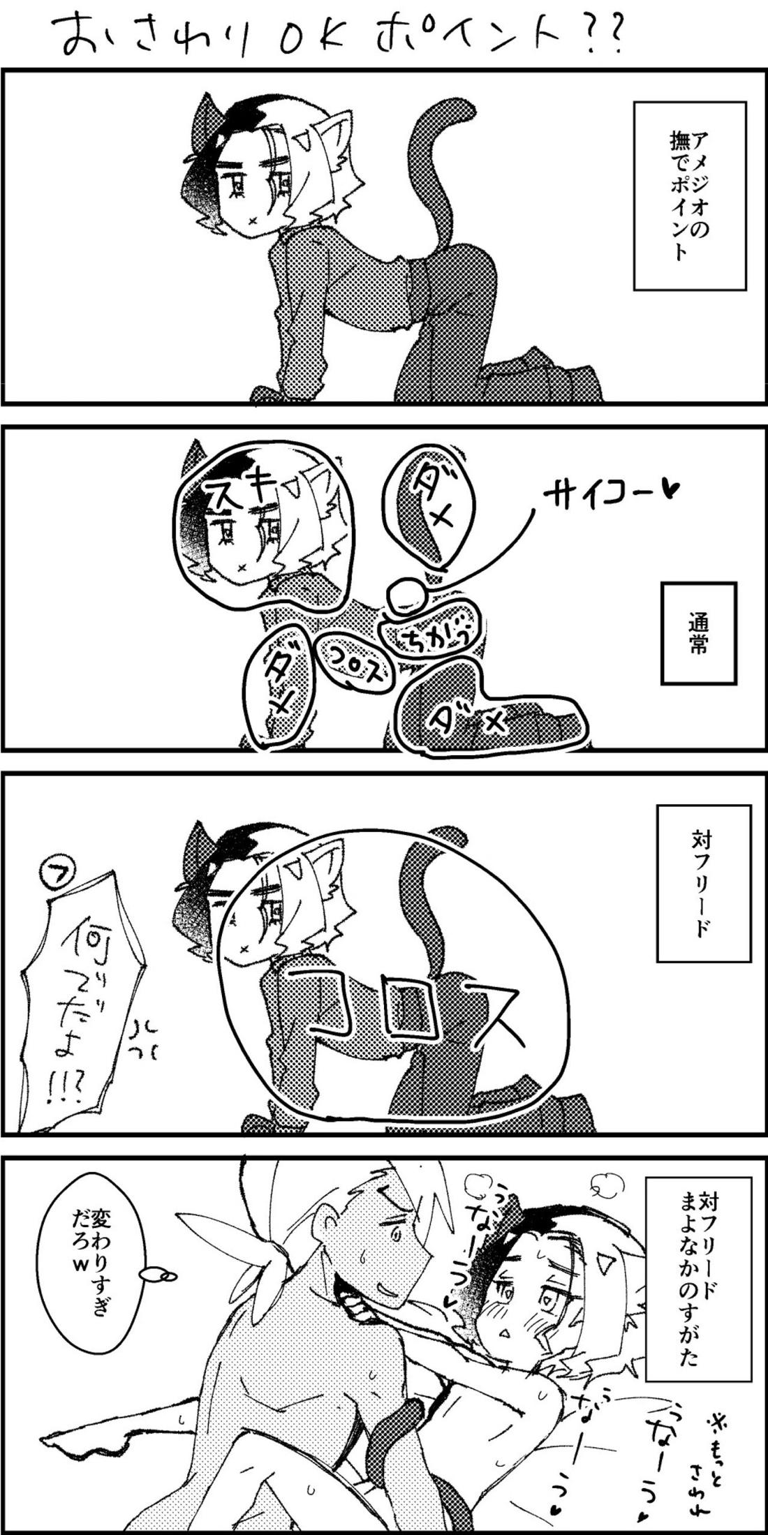 アメがネコになりまして【ポケモン/フリアメ】 page 11
