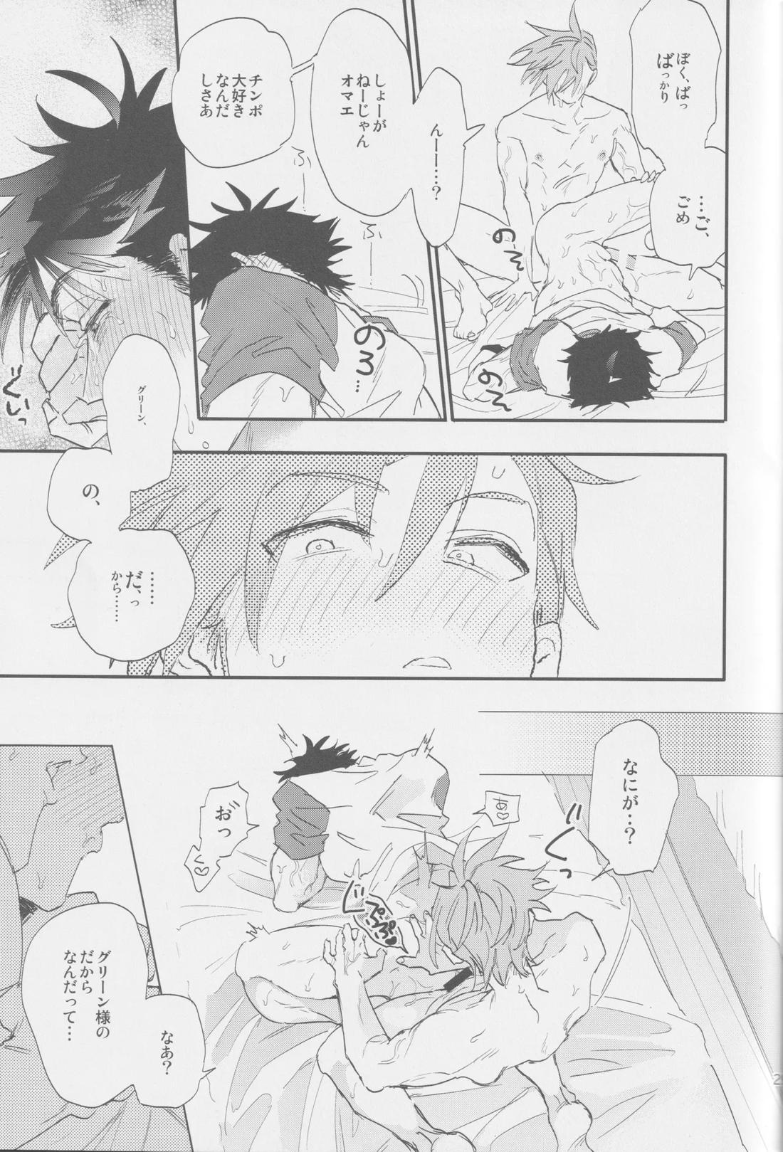 スキ【ポケモン/グリレ】 page 25