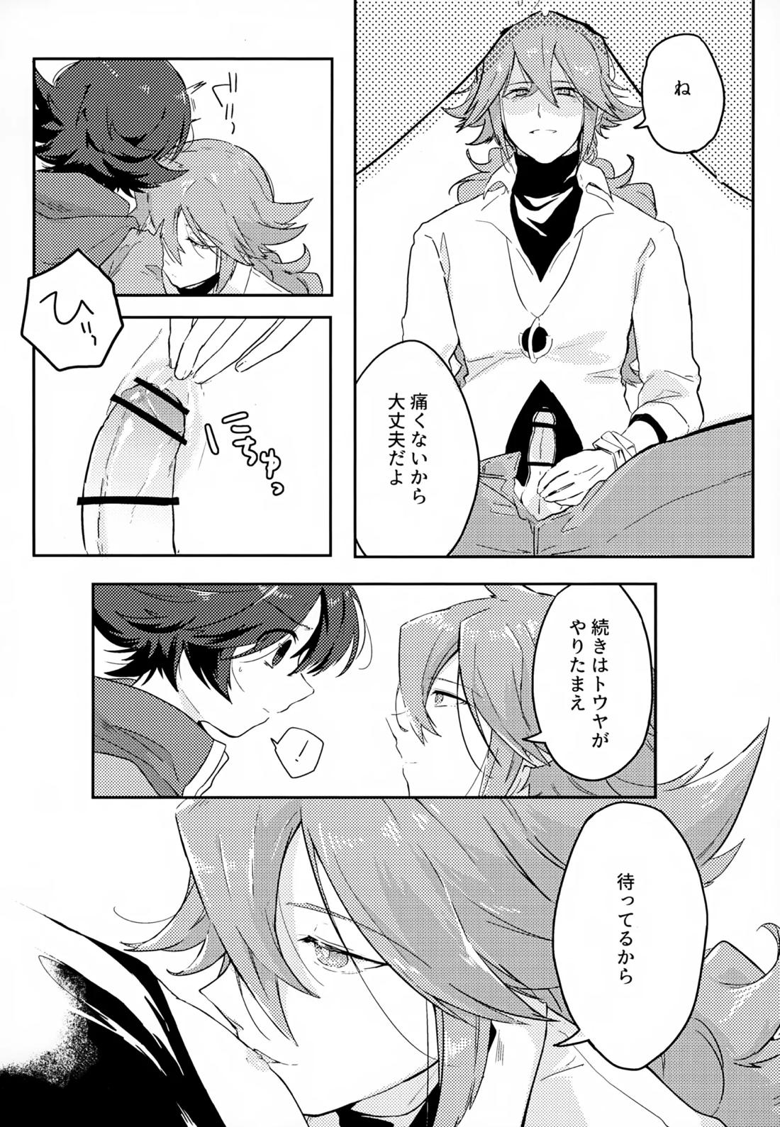ボクノスキナヒト【ポケモン/Ｎ×トウヤ】 page 13