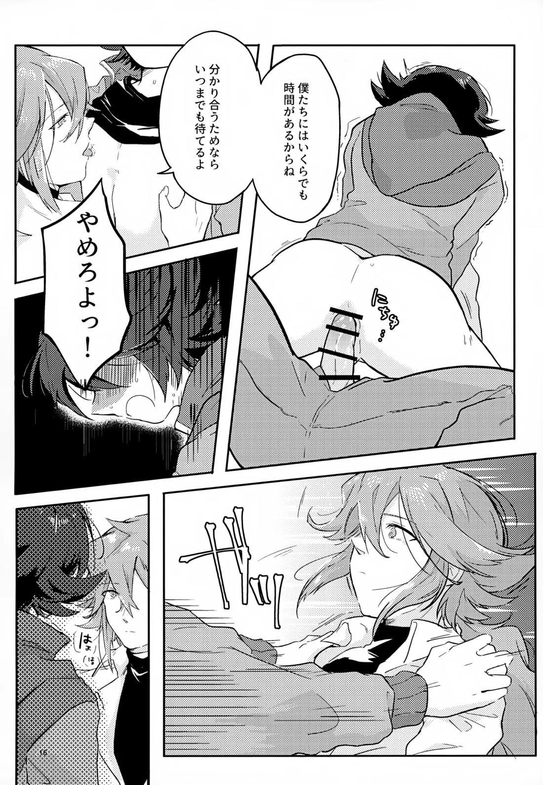 ボクノスキナヒト【ポケモン/Ｎ×トウヤ】 page 15